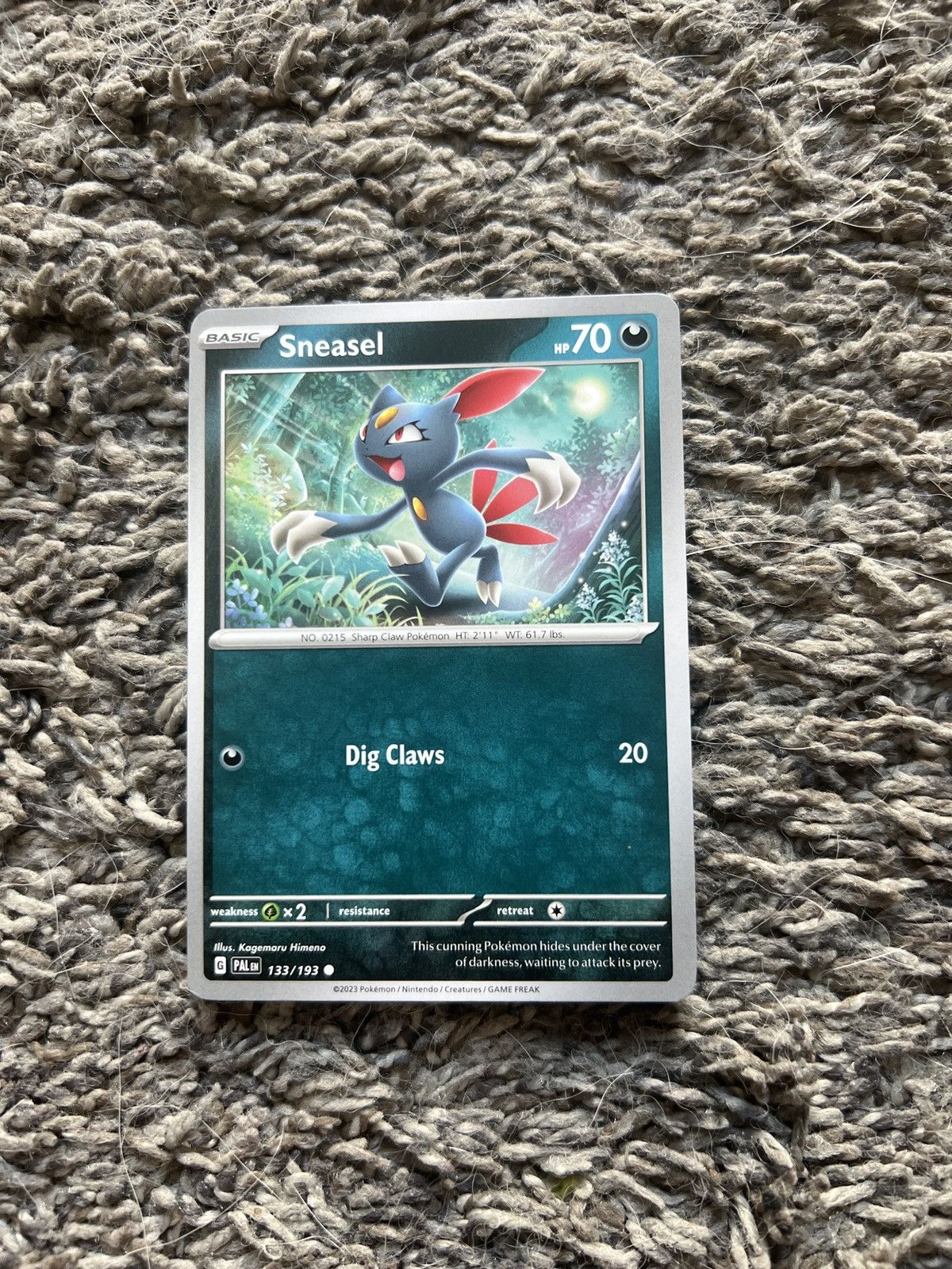Hypebeast × Nintendo × Pokemon 2023 Pokémon Sneasel Basic Card Size ONE SIZE - 1 Thumbnail
