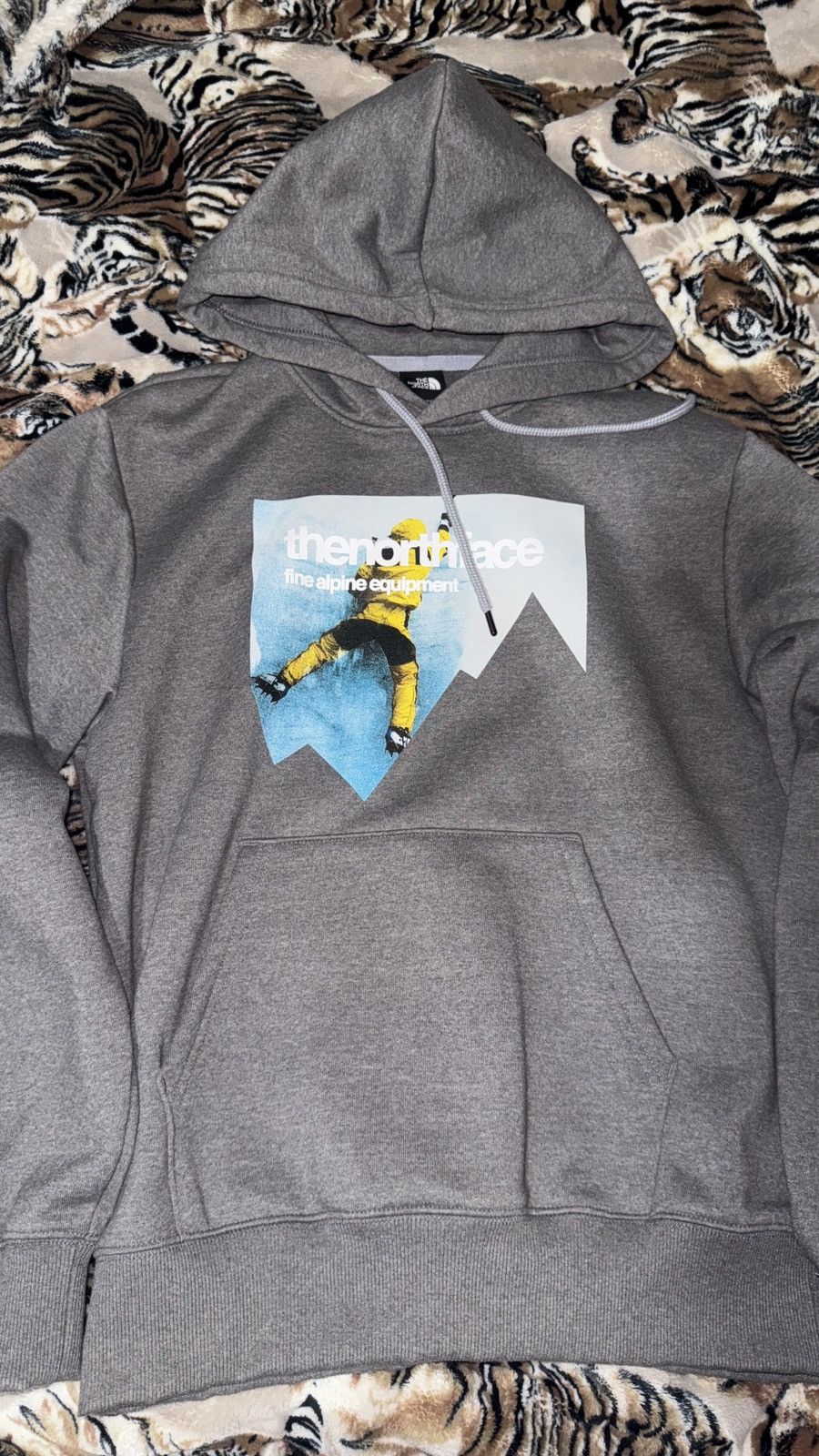 The North Face NorthFace Hoodie Size US S / EU 44-46 / 1 - 1 Thumbnail