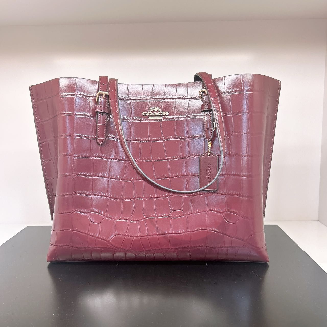 Coach NWT Coach Mollie Tote Bag CW018 Size ONE SIZE - 1 Thumbnail
