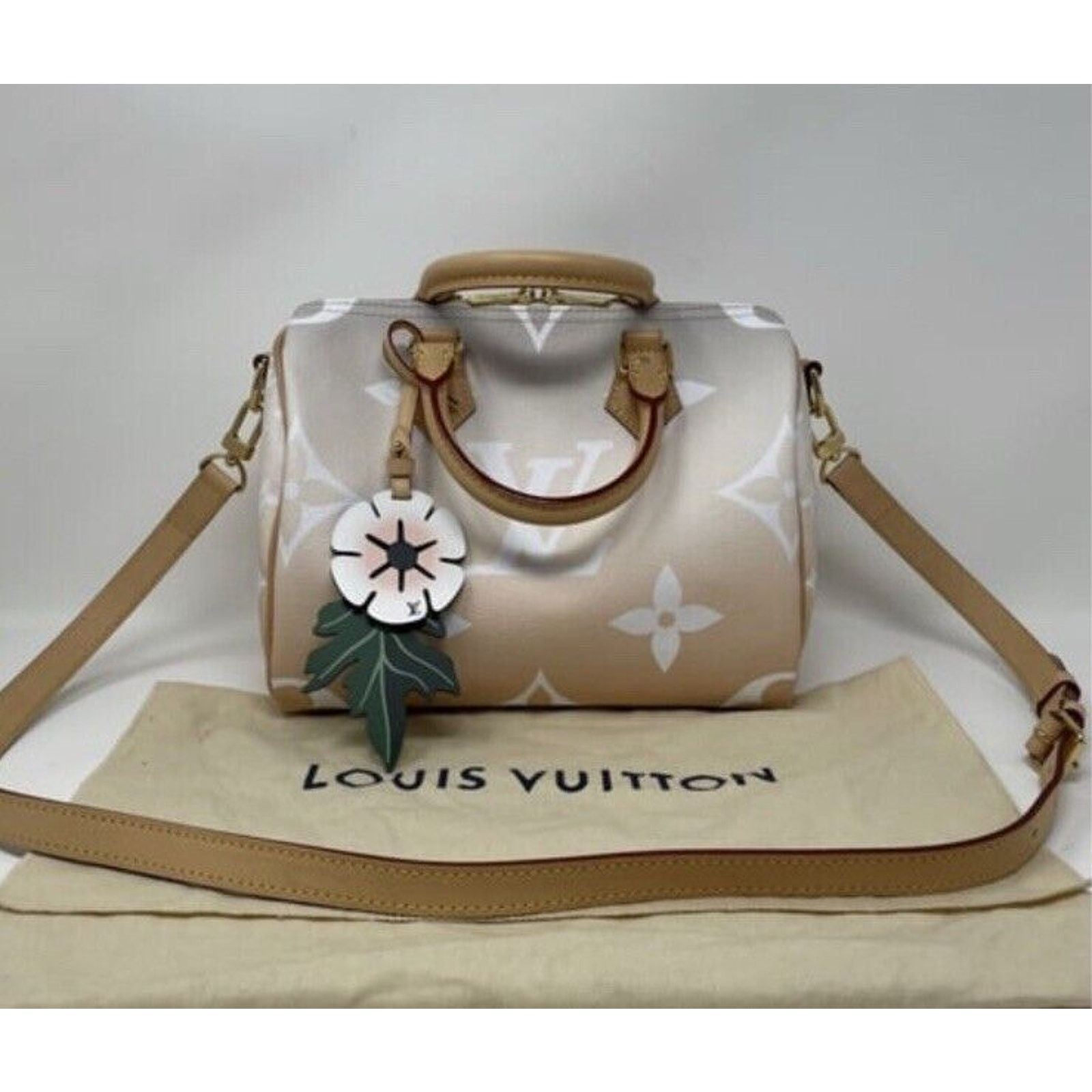 Louis Vuitton Louis Vuitton Speedy 25 Bandouliere Summer By The Pool Mist Size ONE SIZE - 2 Thumbnail
