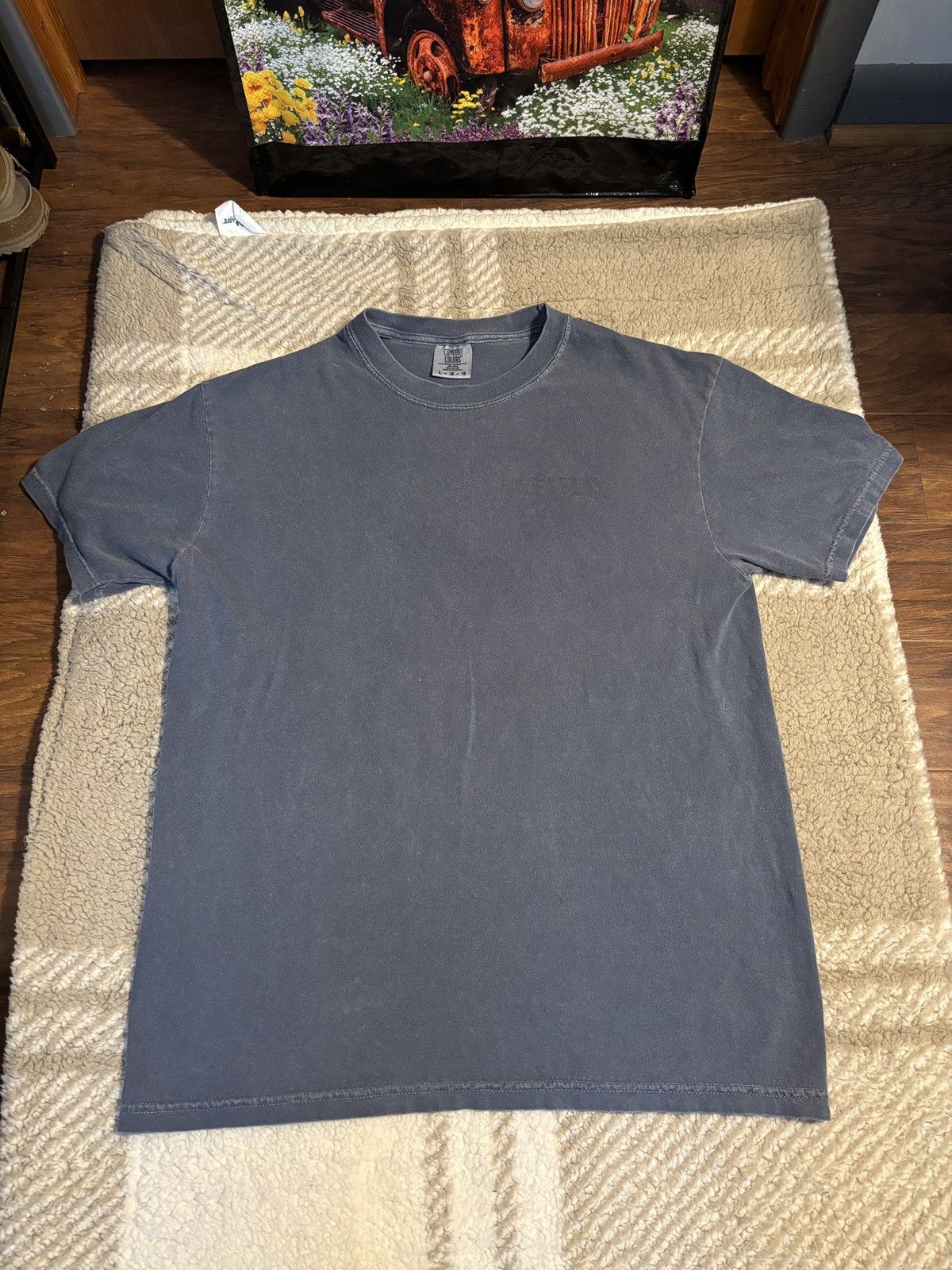 Comfort Colors “Intern Program” graphic tee Size US L / EU 52-54 / 3 - 2 Thumbnail
