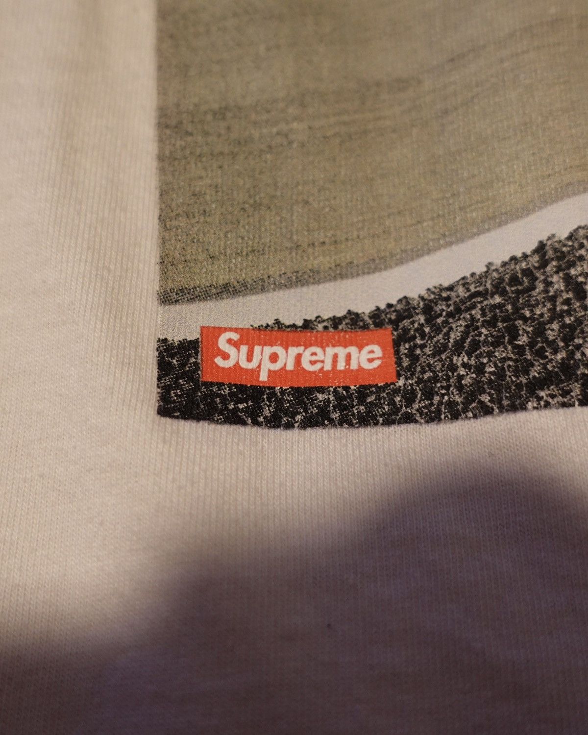 Supreme pretty rare SUPREME (GUCCI AD PARODY) "PUBE S" T-SHIRT Size US L / EU 52-54 / 3 - 2 Thumbnail