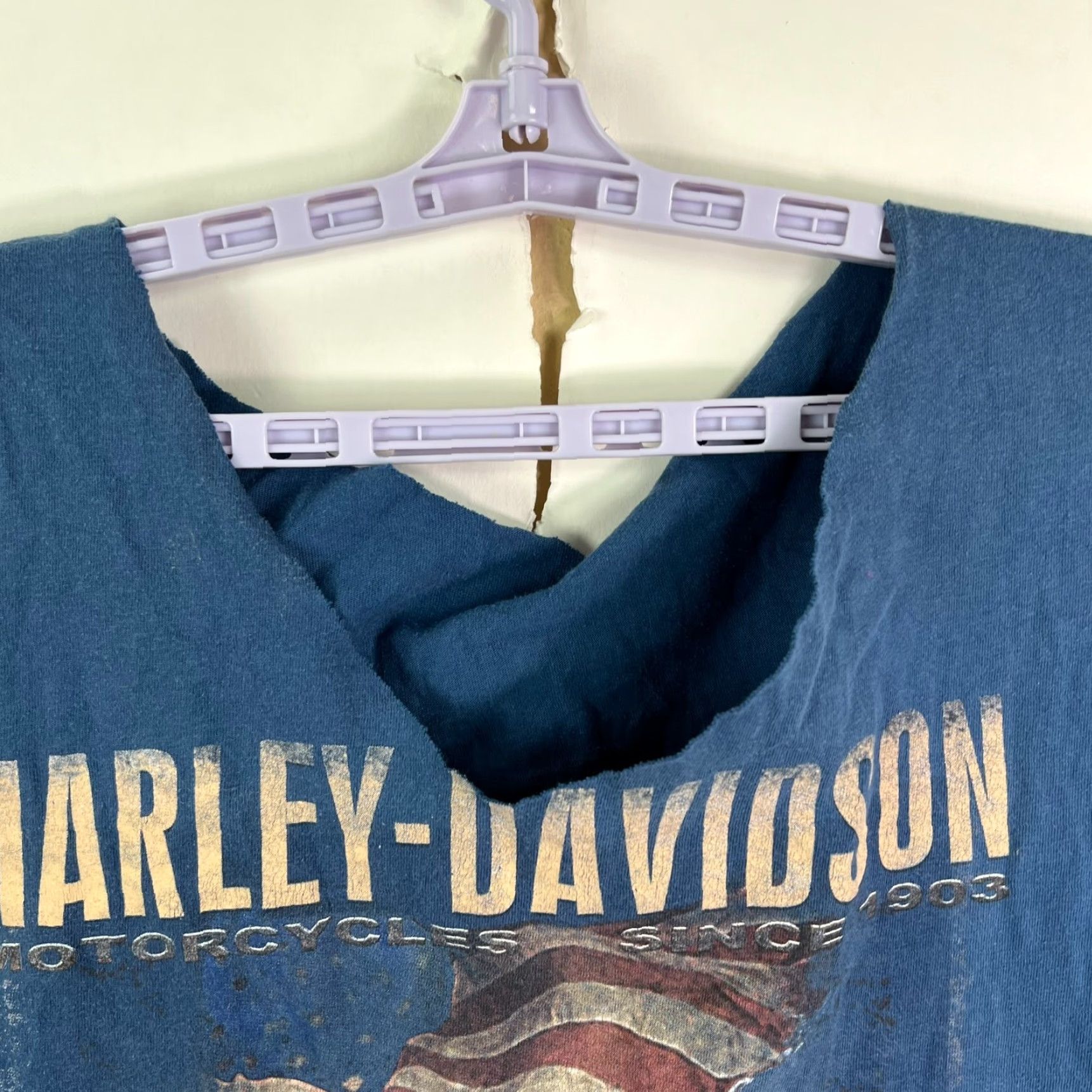 Harley Davidson Harley-Davidson T-Shirt Harley-Davidson Jim's St Petersburg FL Cut Tank Top Blue Mens L Round Neck Sleeveless Graphic Print Vintage USA Size US L / EU 52-54 / 3 - 3 Thumbnail