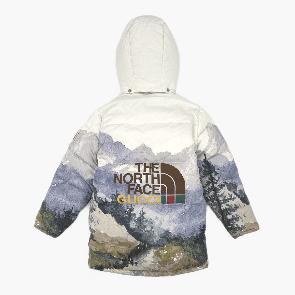 Gucci × The North Face Gucci x The North Face Trail Print Hooded Down Jacket Size XS / US 0-2 / IT 36-38 - 2 Thumbnail
