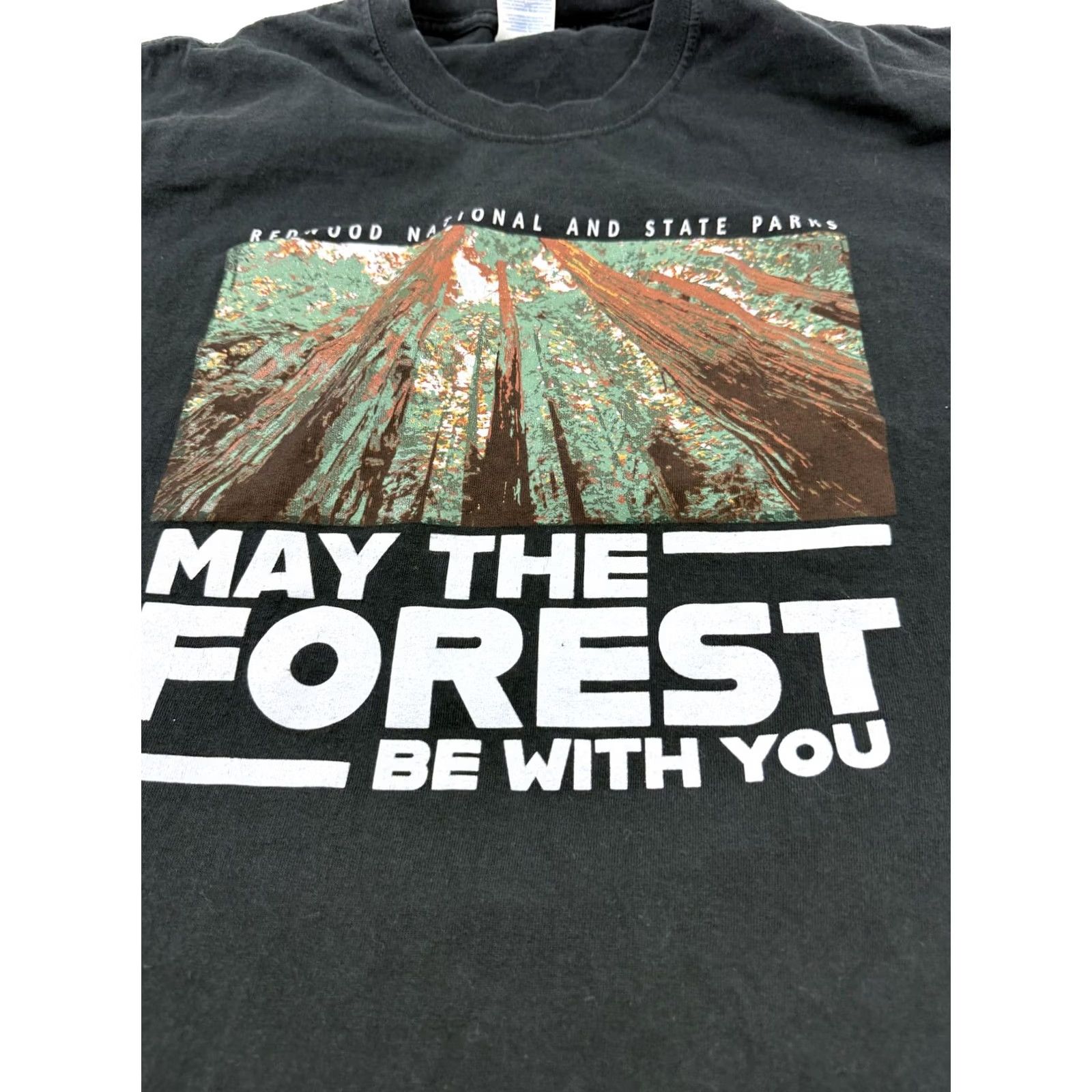Port & Company Port & Company Redwood National and State Parks May The Forest Be With You Shirt Mens XL Black T-Shirt Graphic Print Star Wars Forest Pattern Size US XL / EU 56 / 4 - 2 Thumbnail