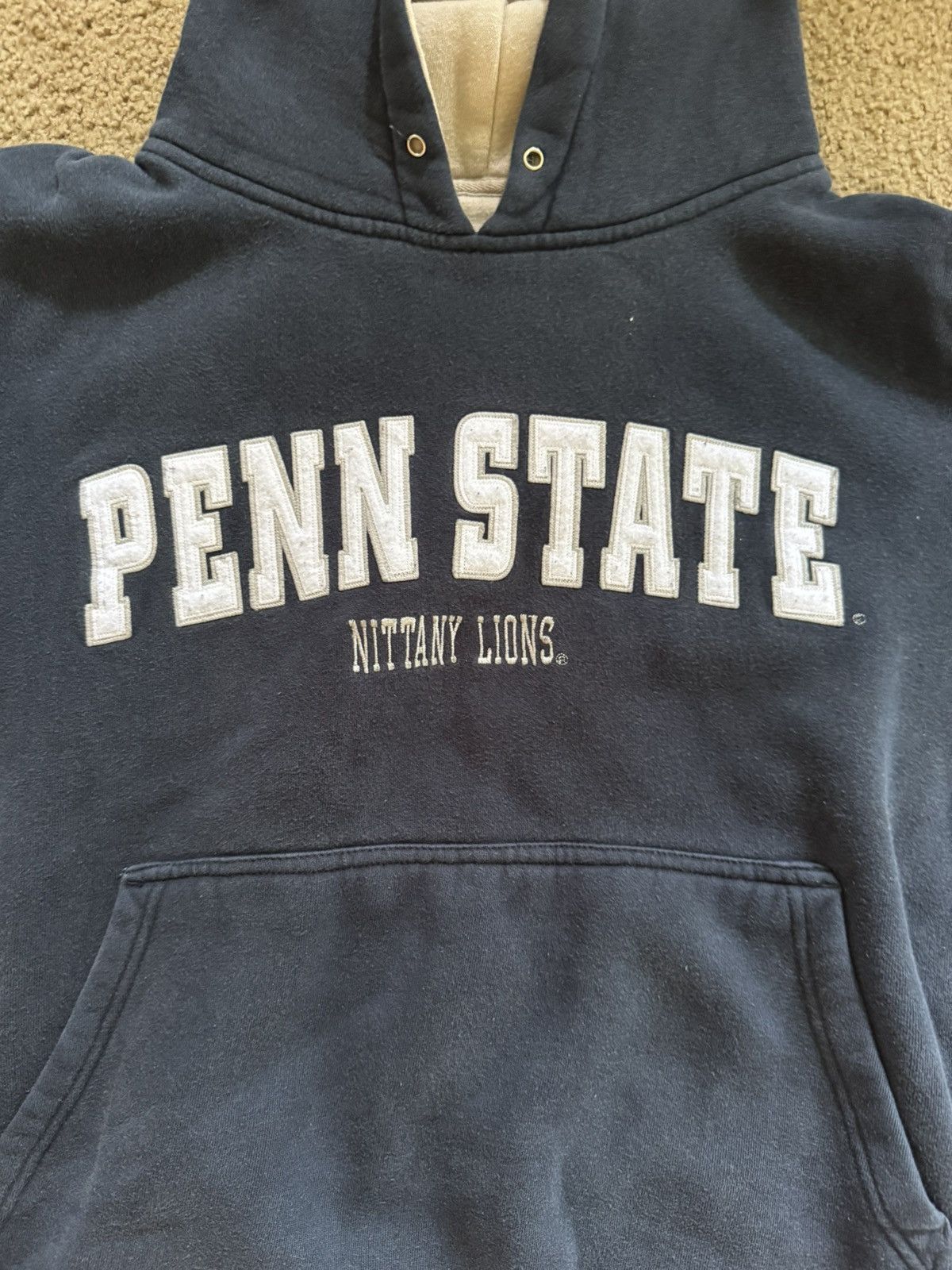 Champion Penn State Hoodie Size US M / EU 48-50 / 2 - 2 Thumbnail