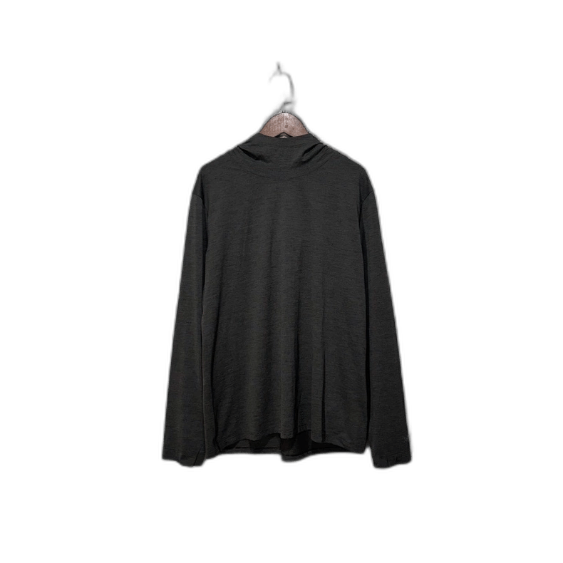 Arcteryx Taema Hoody Long Sleeve T-shirt