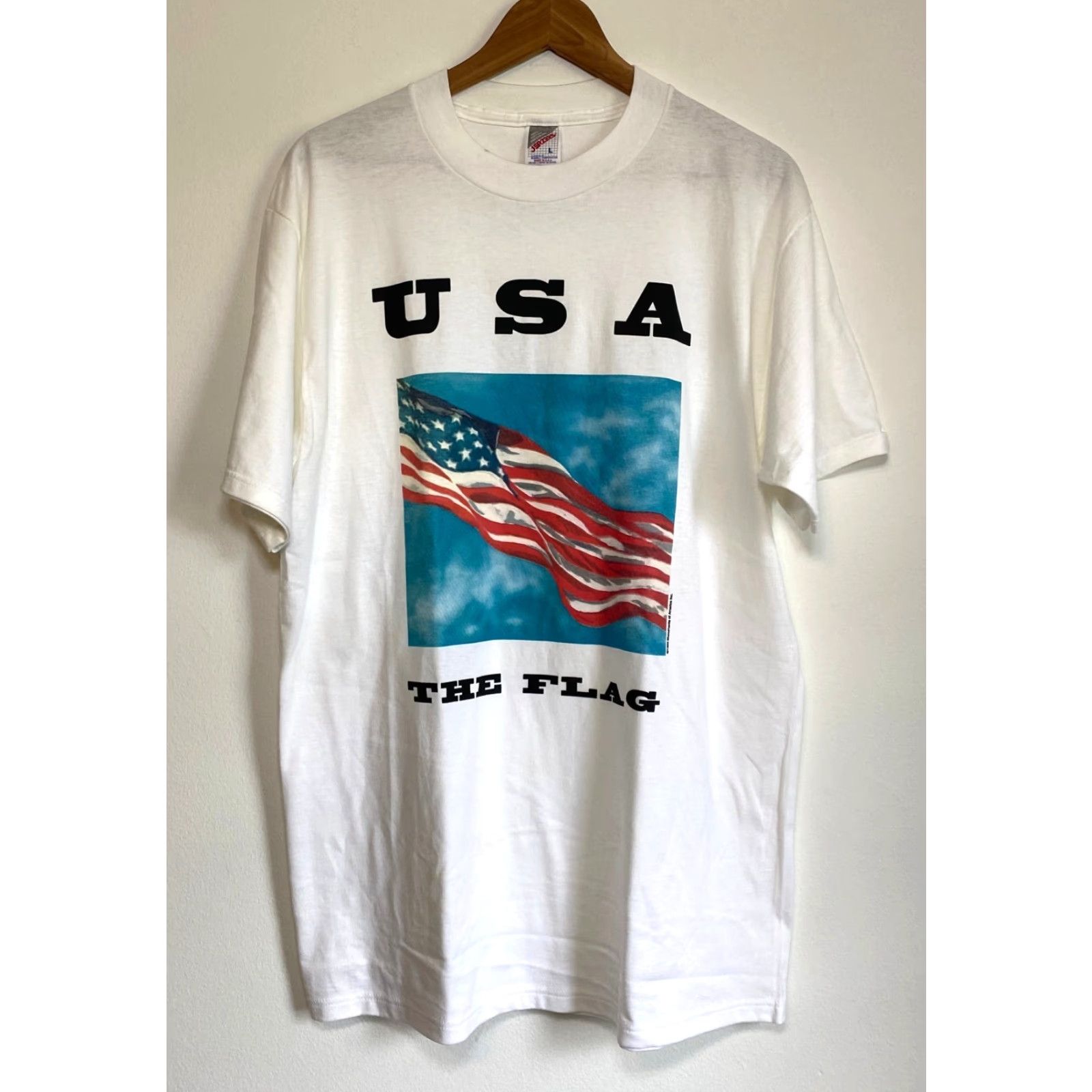 Jerzees VINTAGE Jerzees T-Shirt USA 1993 Monuments of America Graphic Tee White L Mens Size US L / EU 52-54 / 3 - 2 Thumbnail