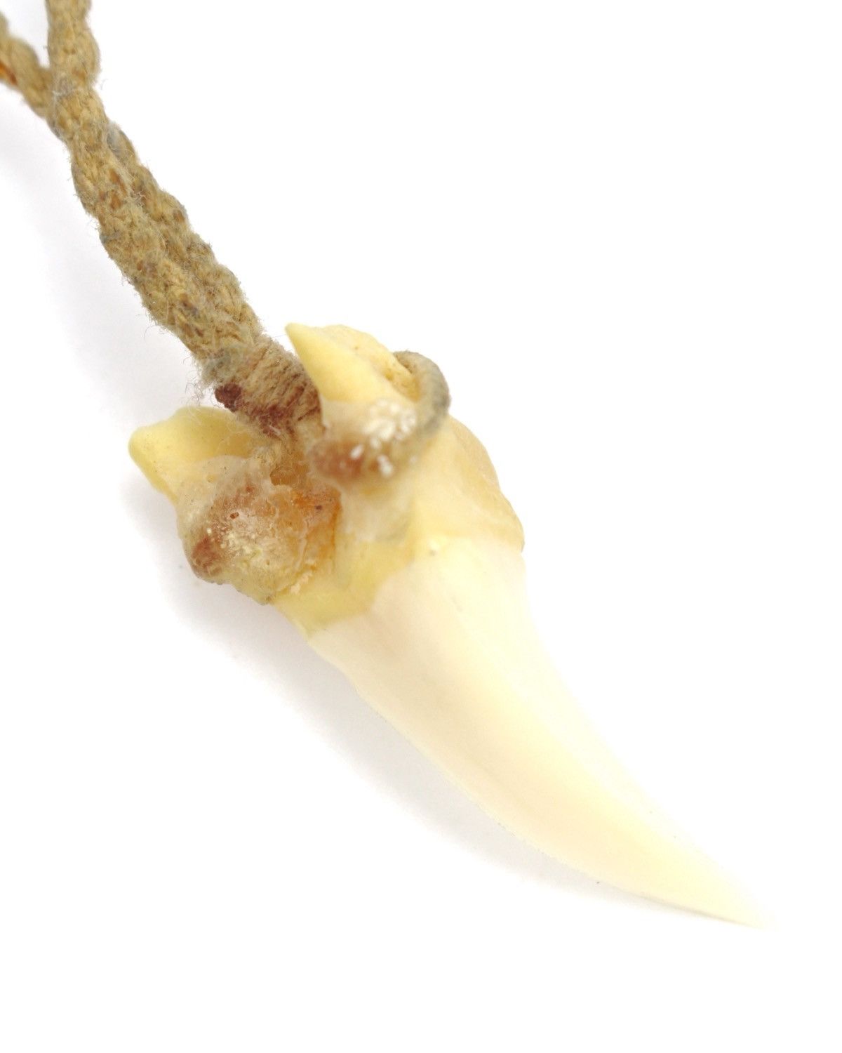 If Six Was Nine 2000S JAPANESE MADE NATURAL IVORY TONE FANG NECKLACE Size ONE SIZE - 2 Thumbnail