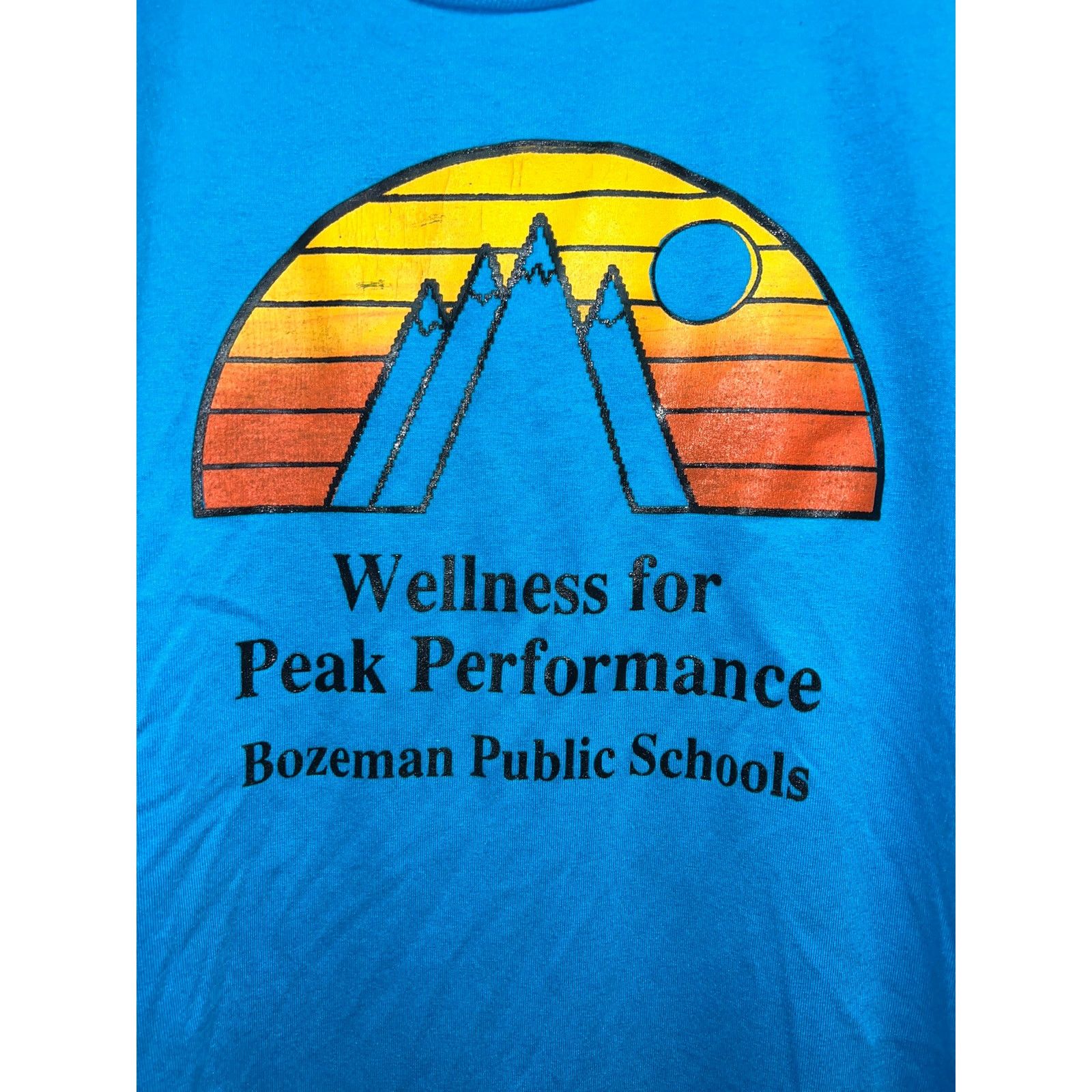 Jerzees Vintage Public School Performance Shirt Wellness Fitness Tee Size US L / EU 52-54 / 3 - 2 Thumbnail