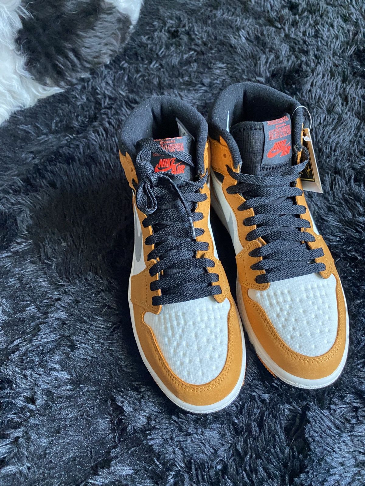 Jordan 1 Retro High Element