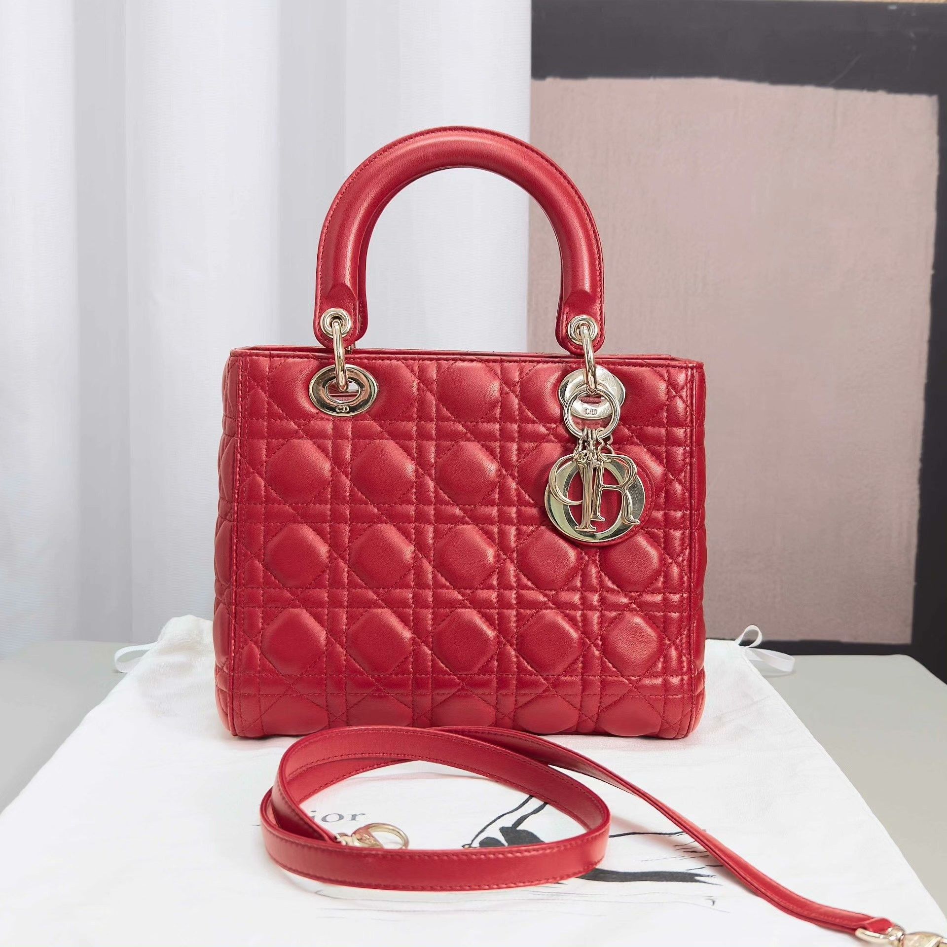 Dior Pre-loved Bag Very good condition Size ONE SIZE - 1 Thumbnail