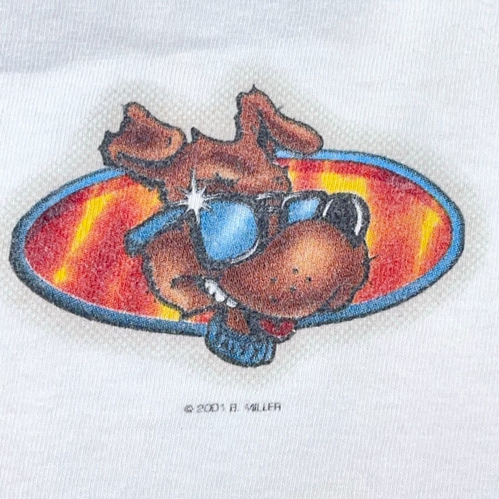 Hanes VINTAGE Hanes Shirt Men M White Knit Crew Neck 1990s 90s Outdoors American Dragon Salty Dog Surf Shop Long Sleeve Regular Fit Size US M / EU 48-50 / 2 - 6 Thumbnail