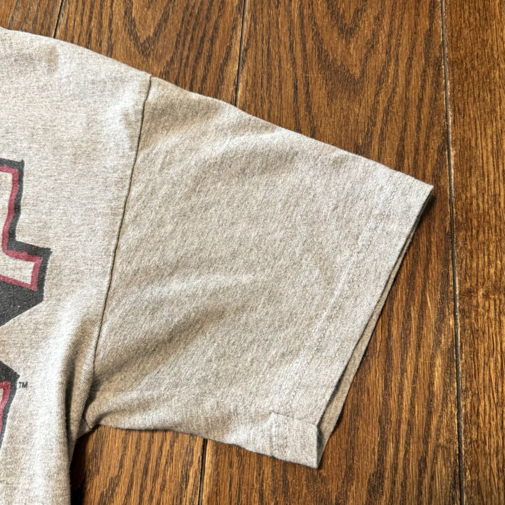 Doublet Daniel Bryan WWE Shirt Mens Size Medium Gray Double Sided Submission Wrestling Size US M / EU 48-50 / 2 - 4 Thumbnail