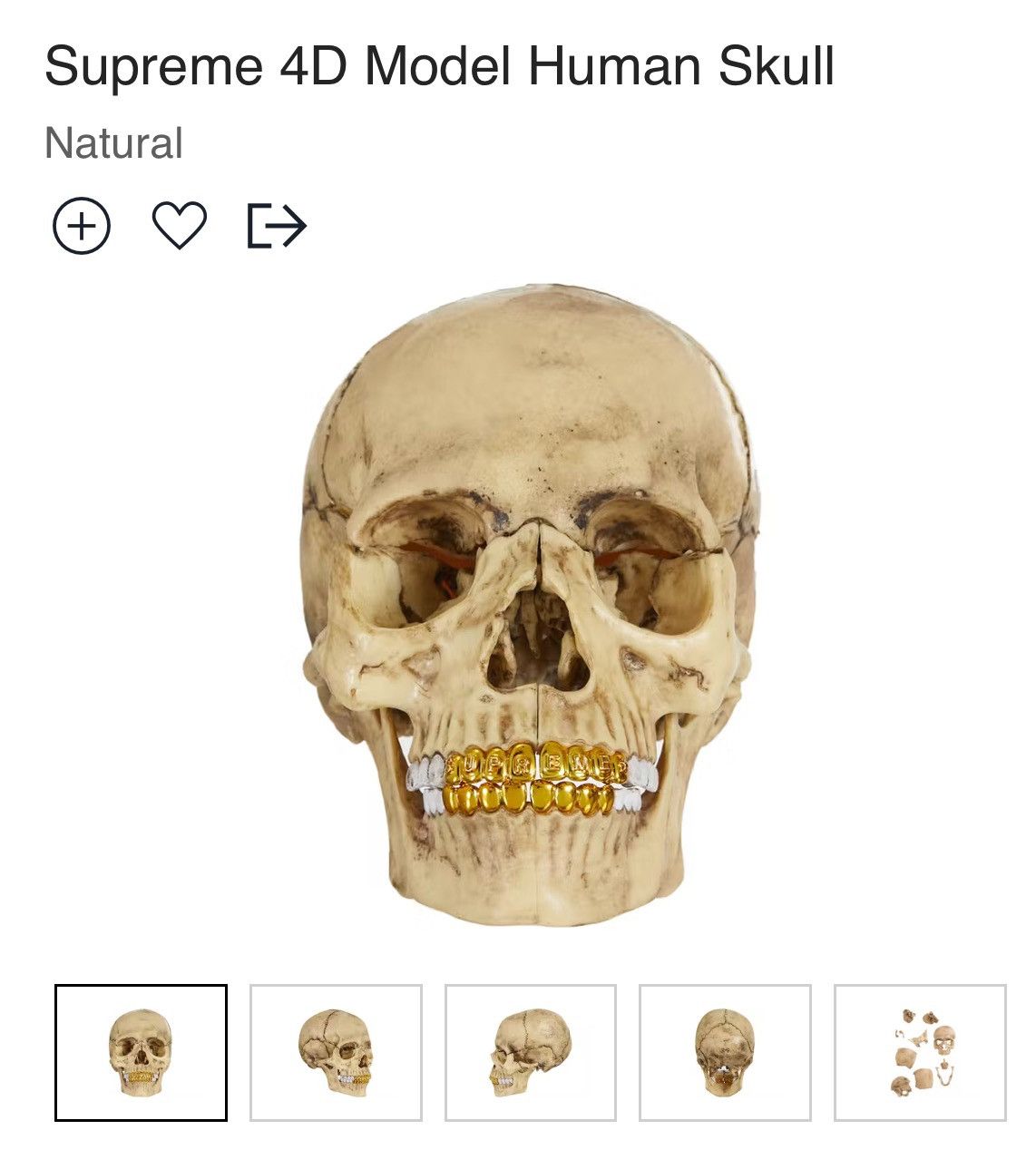 Supreme Supreme 4D human skull Preme 2023 accessory 💀 | Grailed