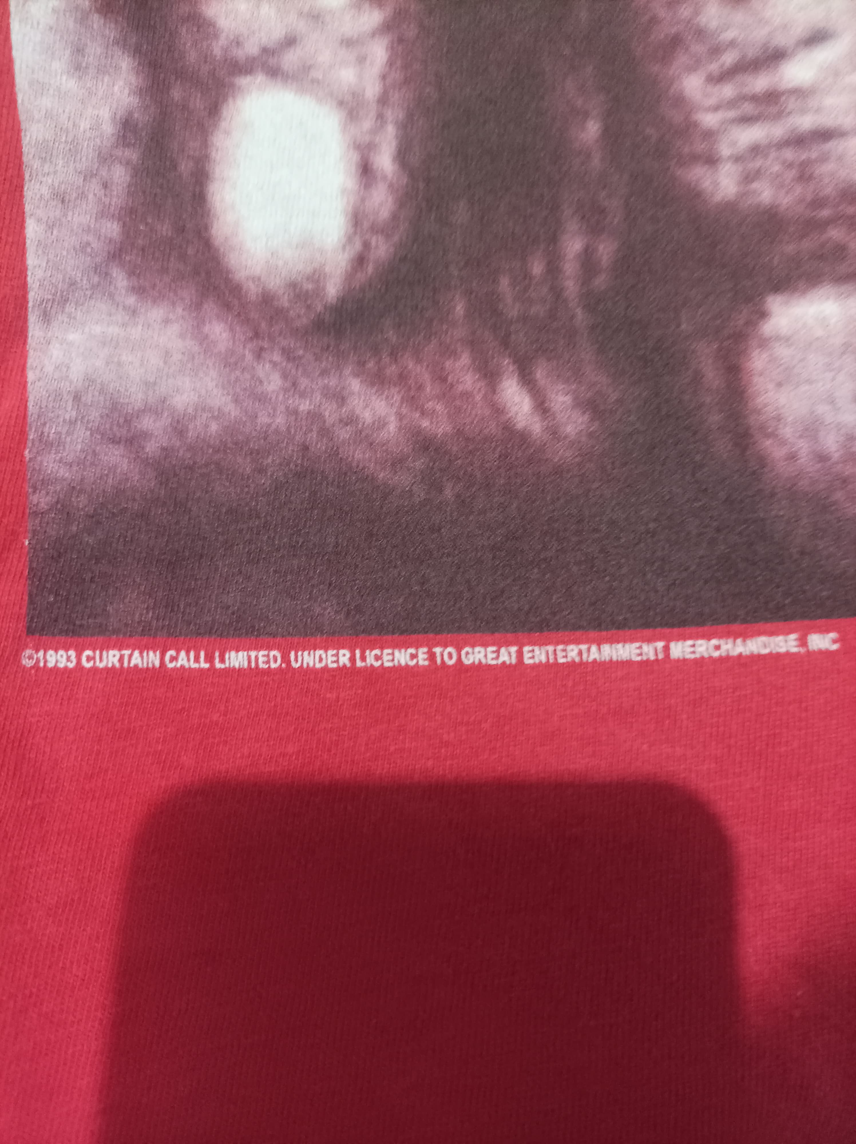 Hanes the cranberries 93 Size US L / EU 52-54 / 3 - 3 Thumbnail