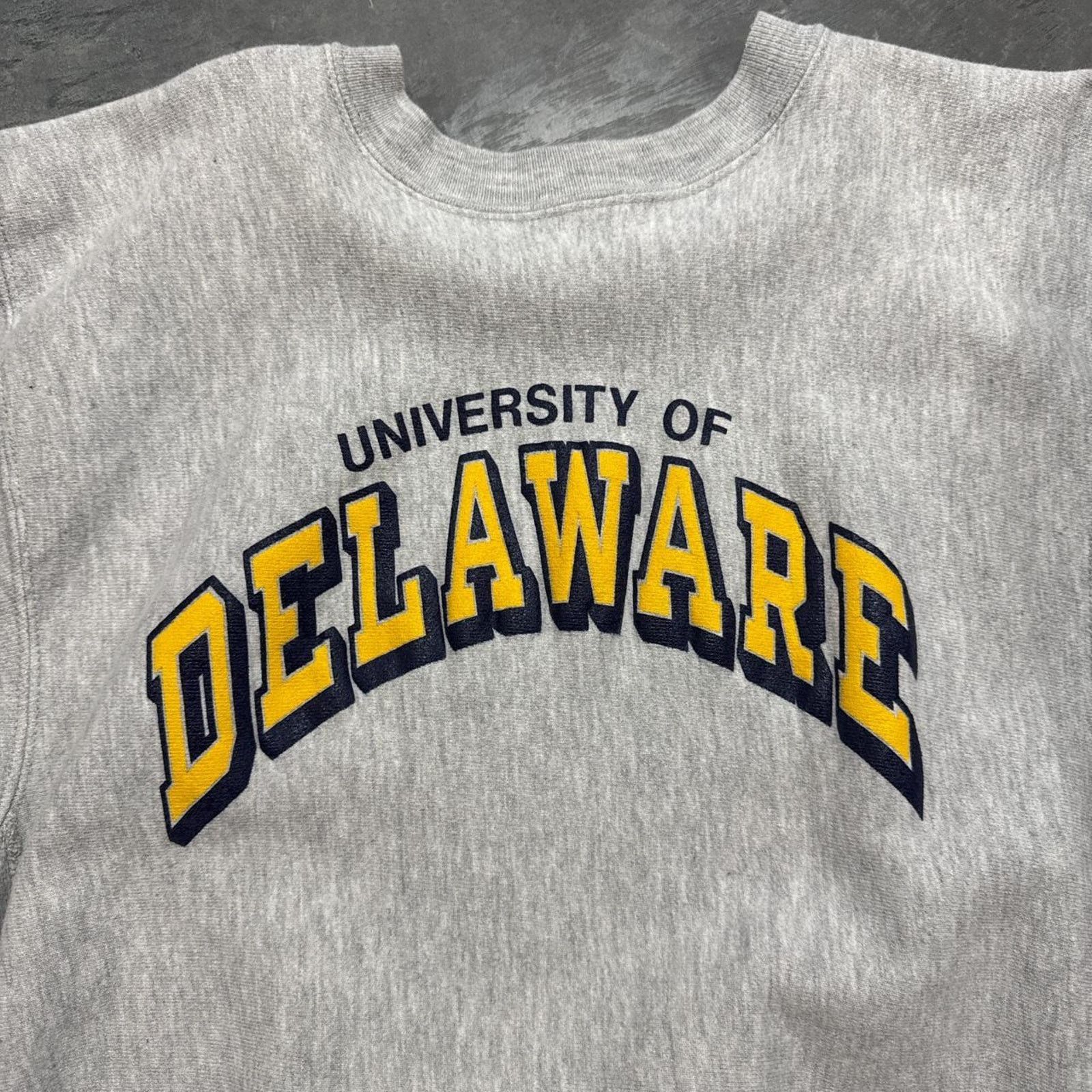 Champion × Vintage Vintage Champion Reverse Weave University Of Delaware Size US L / EU 52-54 / 3 - 2 Thumbnail