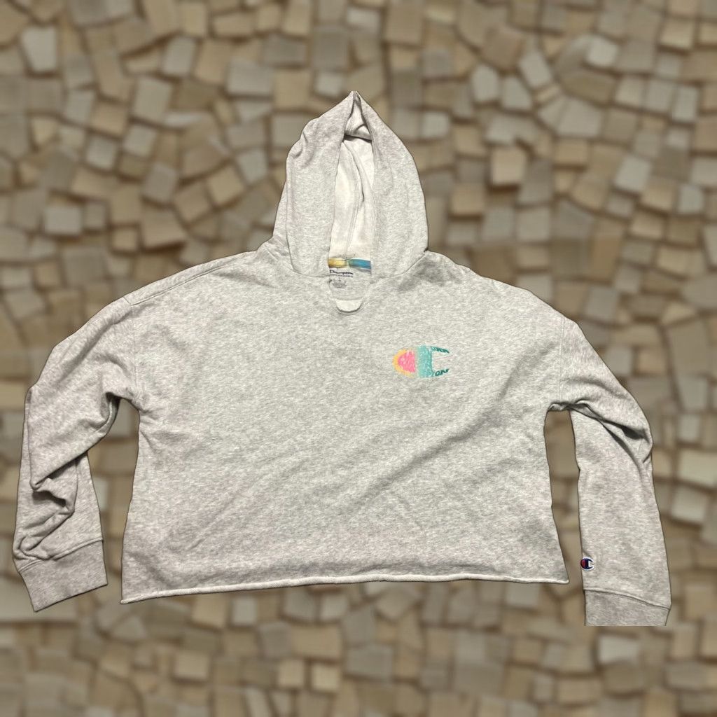 Champion Champion Hoodie Women’s L Gray Pullover V-Neck Crop, Long Sleeve, Casual, Free Return, Regular Fit, Brand Champion, Modern Style Size L / US 10 / IT 46 - 1 Thumbnail