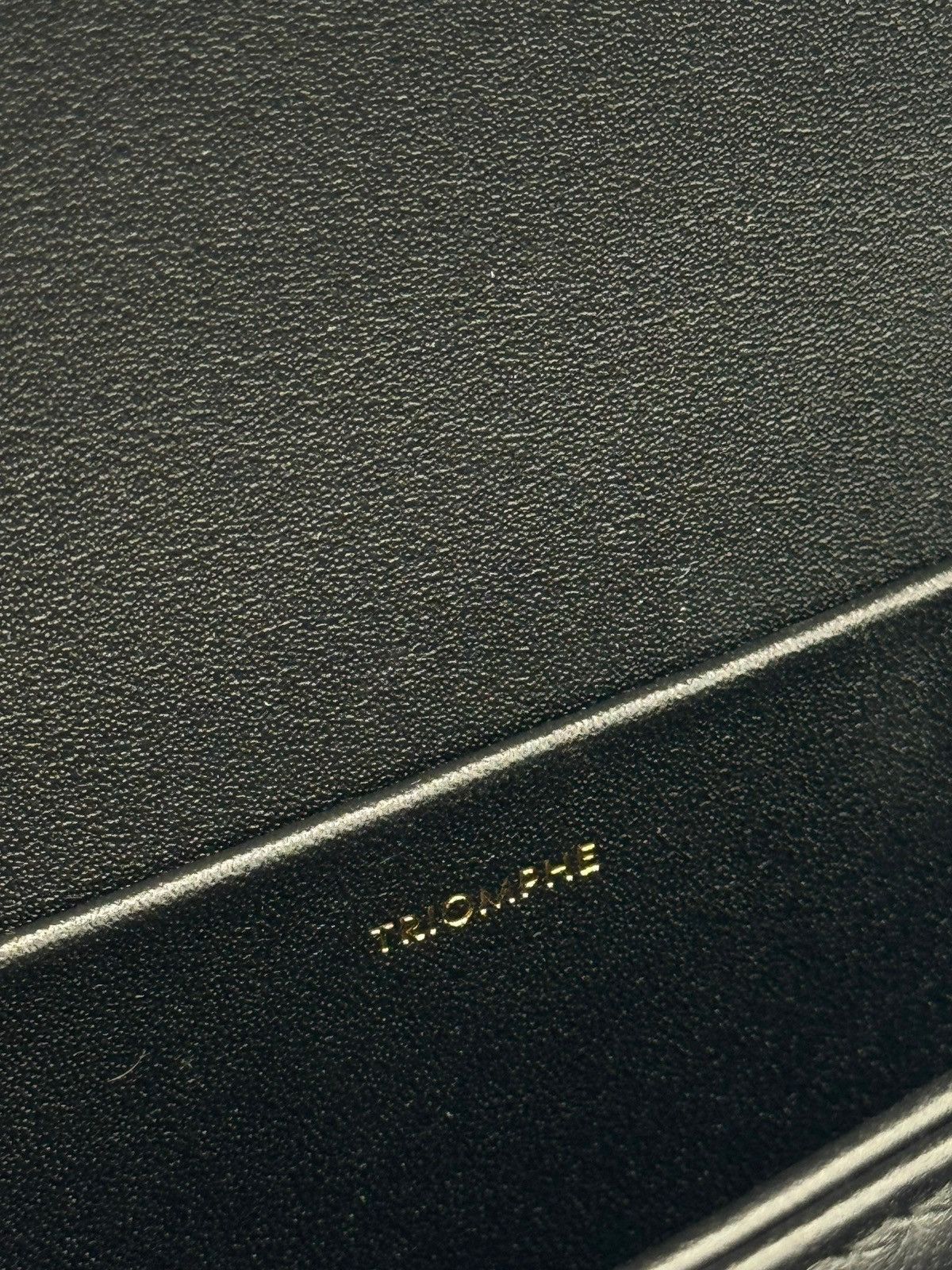 Celine Celine Triomphe Classique shoulder bag Size ONE SIZE - 12 Thumbnail