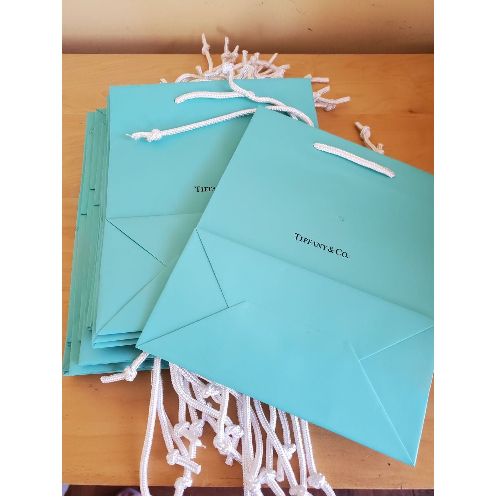 Tiffany & Co. TIFFANY & Co. 10" x 8" x 4” Blue MEDIUM Paper Bag New ONE Size ONE SIZE - 3 Thumbnail