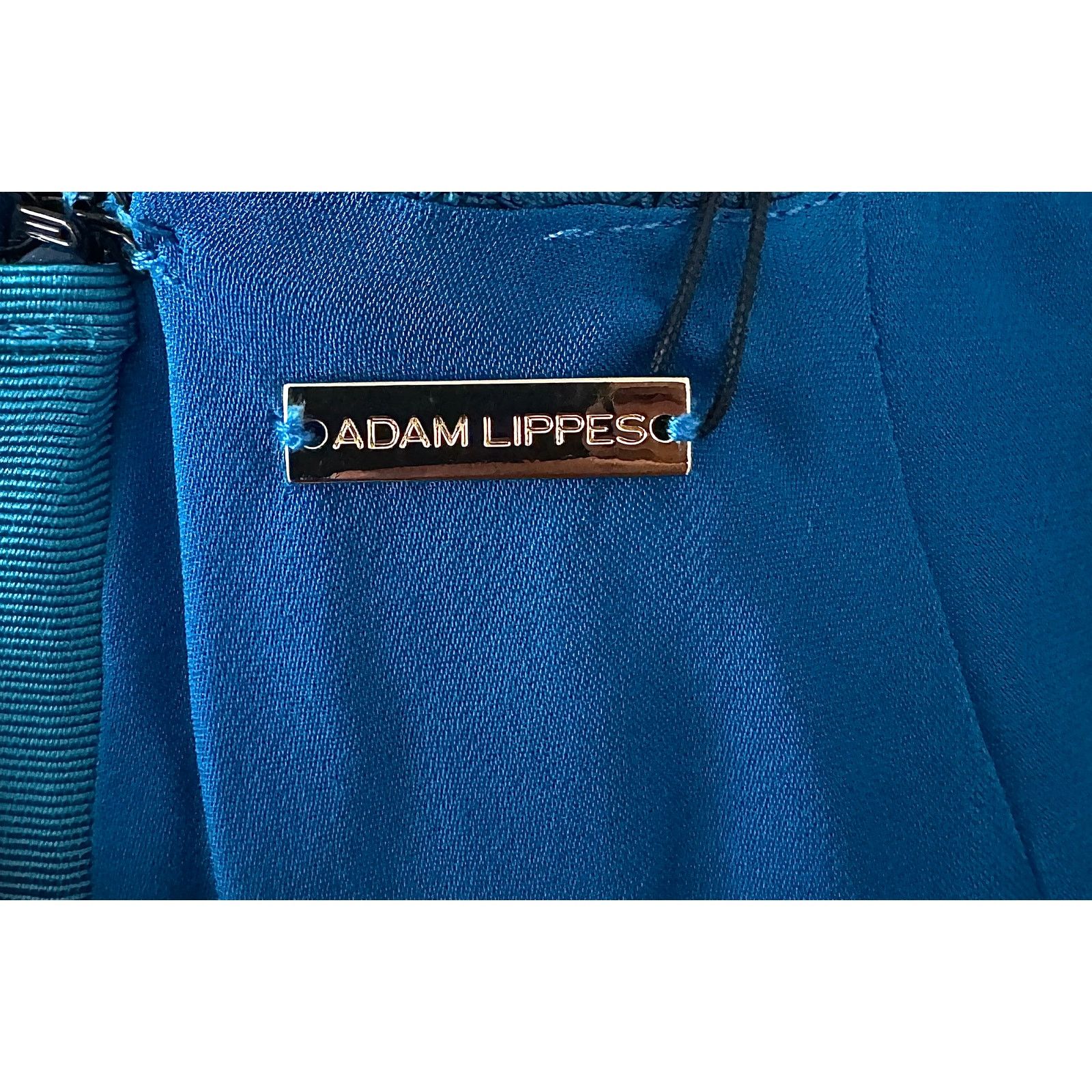 Adam Lippes ADAM LIPPES NWT Lace Sheath Dress Silk Lined V-Neck Size M / US 6-8 / IT 42-44 - 4 Thumbnail