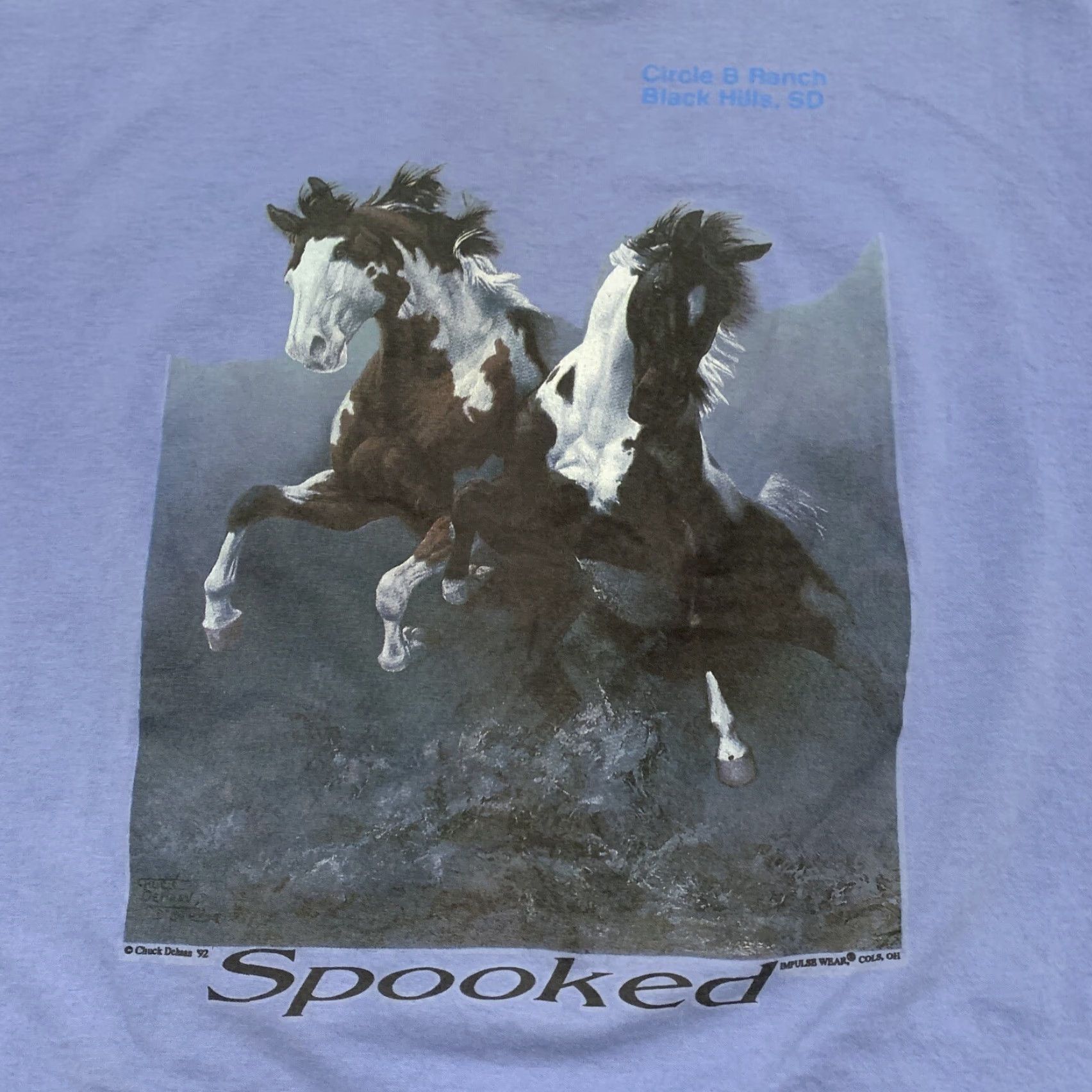 Fruit Of The Loom VINTAGE Chuck Dehaan T-Shirt XL Men Graphic 90s Horses Western Blue Cotton Short Sleeve Crew Neck Size XL Size US XL / EU 56 / 4 - 2 Thumbnail