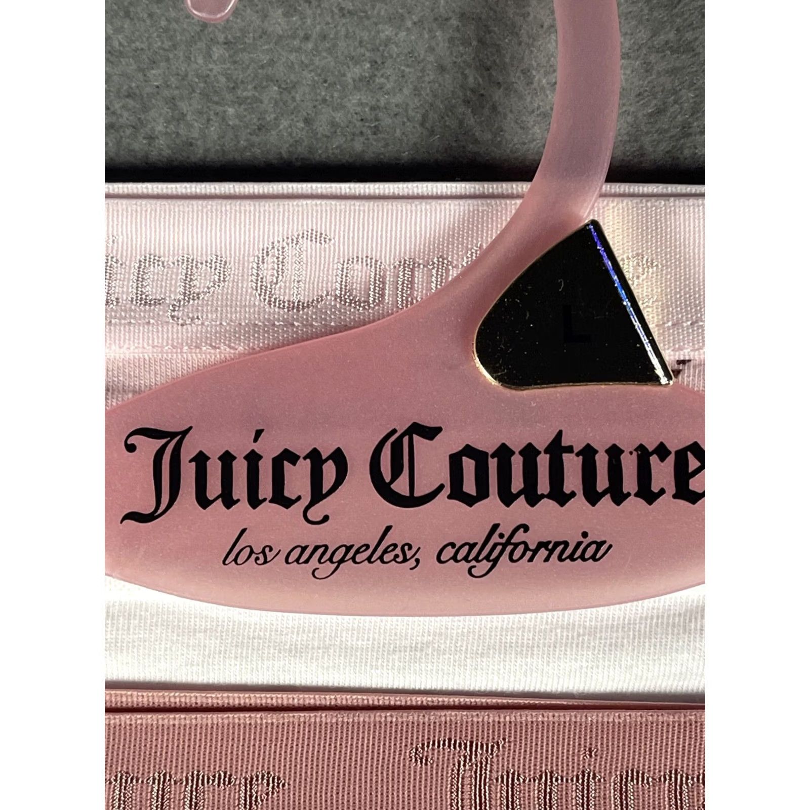 Juicy Couture Juicy Couture Panties 5 Pack Size L Multicolor Logo Seamless Cheeky Womens Size 36" / US 14 / IT 50 - 7 Thumbnail