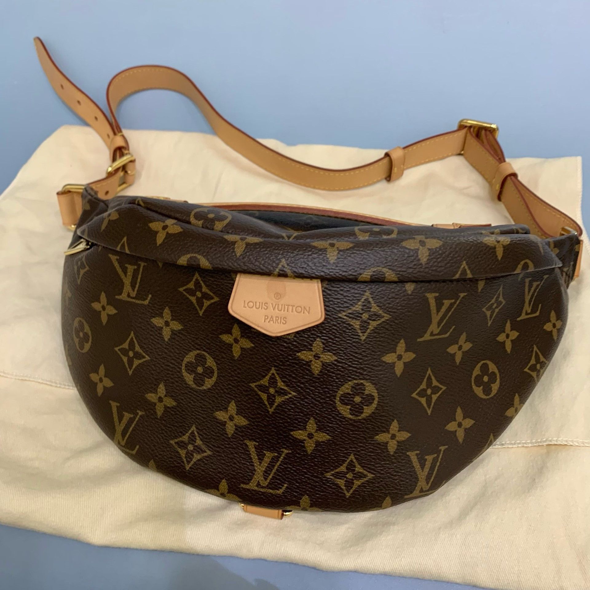 Louis Vuitton Pre-loved Bag Very good condition Size ONE SIZE - 1 Thumbnail