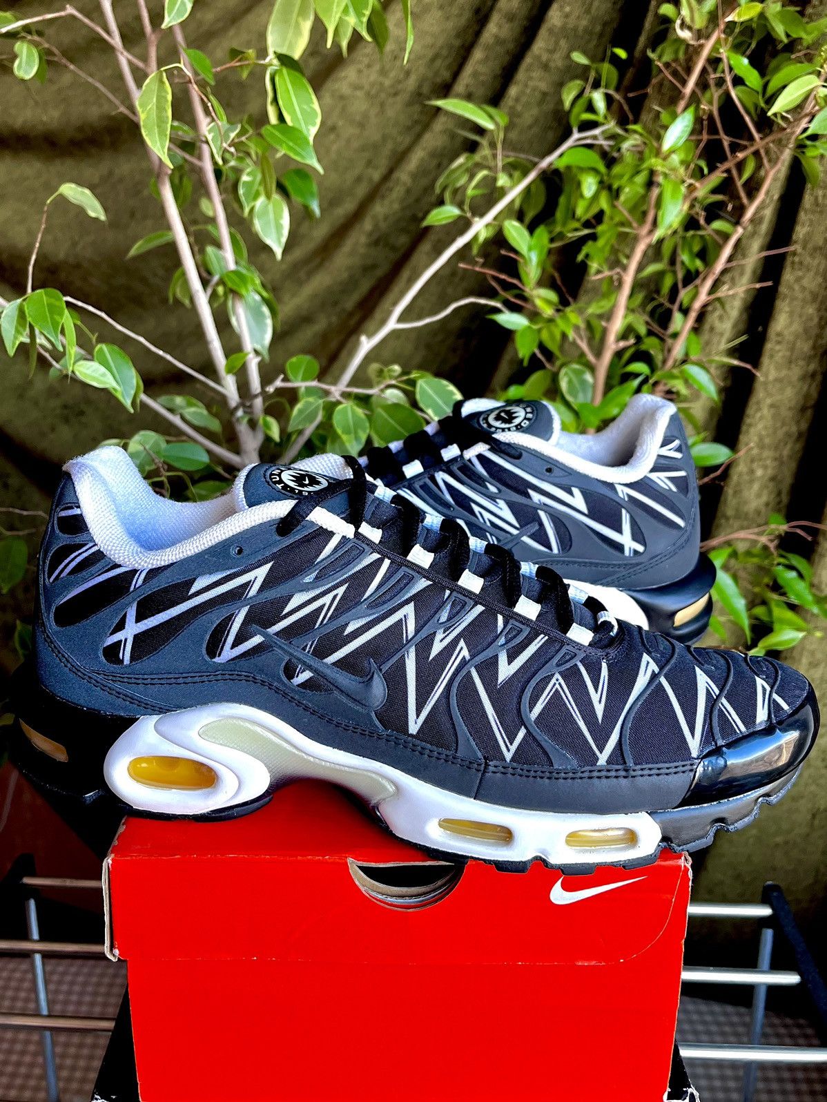 Nike tn black shark shop