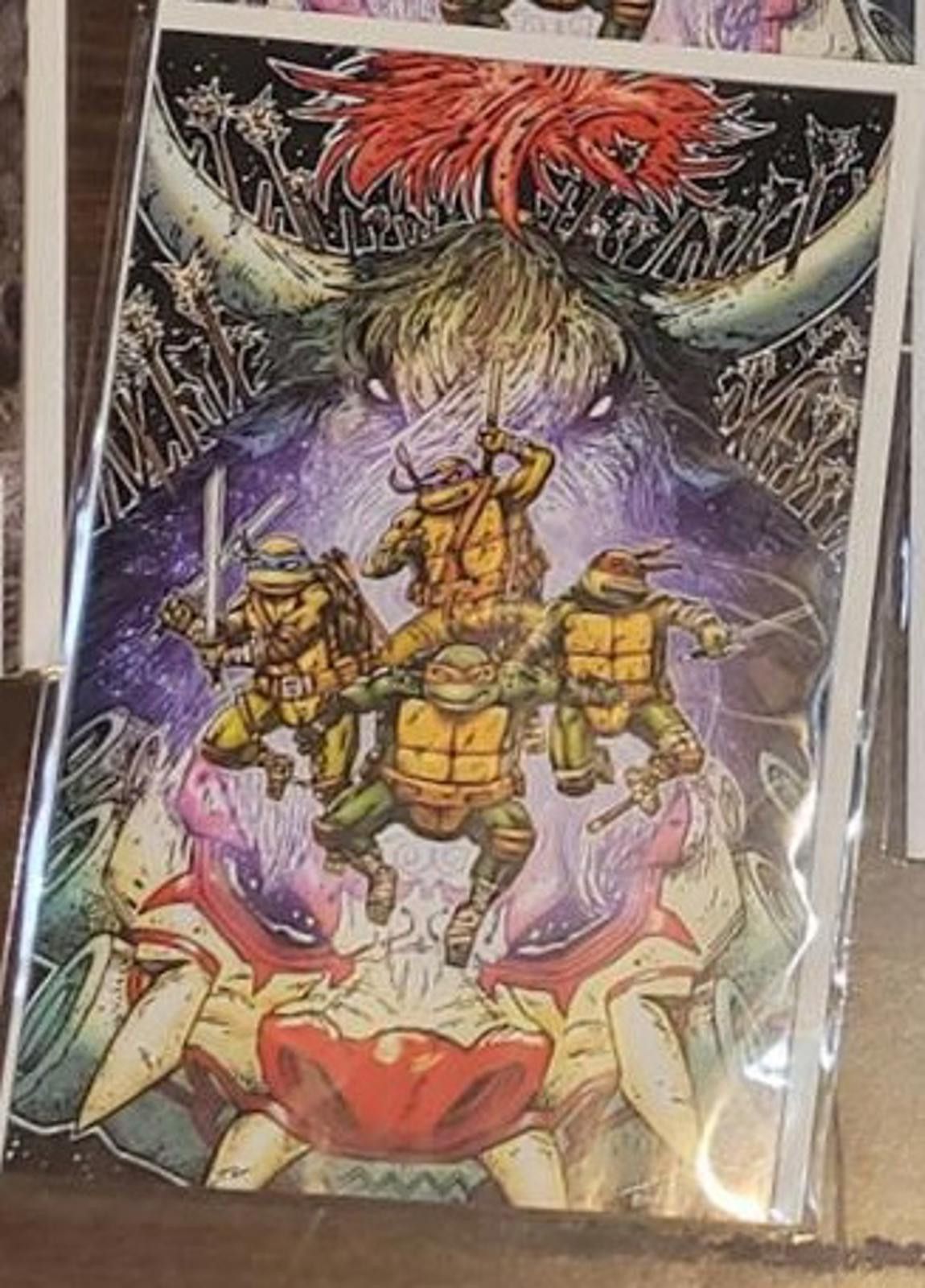 Other TMNT Issue #13 (Kevin Eastman) regular cover B Size ONE SIZE - 2 Thumbnail