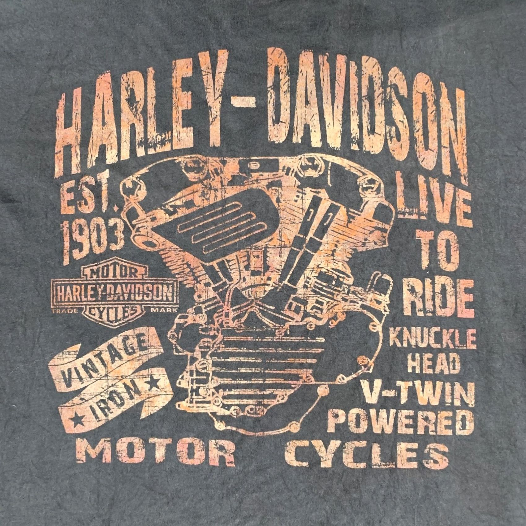 Harley Davidson VINTAGE Harley-Davidson Shirt Mens Large Black Hill City Mount Rushmore South Dakota Hooked by Harley-Davidson Hill City SD 1903 Live to Ride V-Twin Size US L / EU 52-54 / 3 - 4 Thumbnail