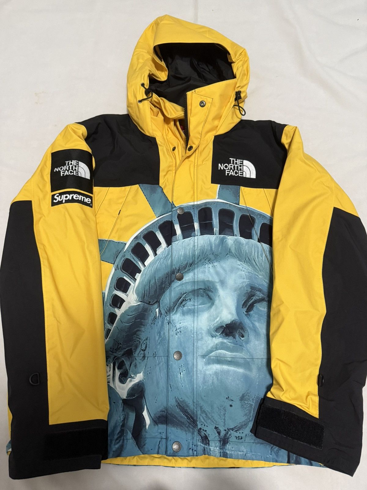 Supreme × The North Face Supreme tnf north face statue of liberty mountain jacket Size US S / EU 44-46 / 1 - 1 Thumbnail