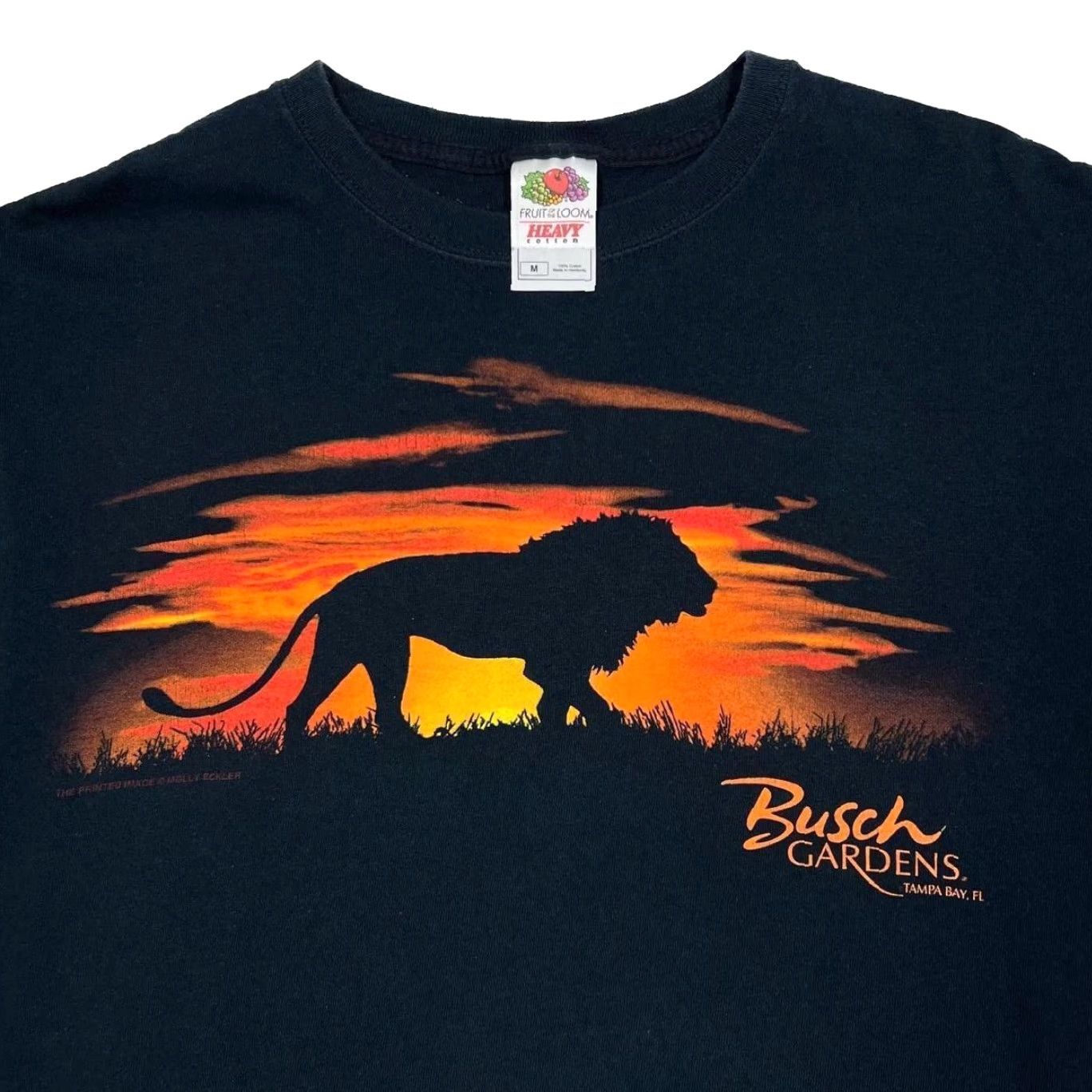 Fruit Of The Loom VINTAGE Busch Gardens Tampa Bay,FL Souvenir Graphic Black T-Shirt M Men Medium Shirt Graphic Print 00s Size US M / EU 48-50 / 2 - 5 Thumbnail