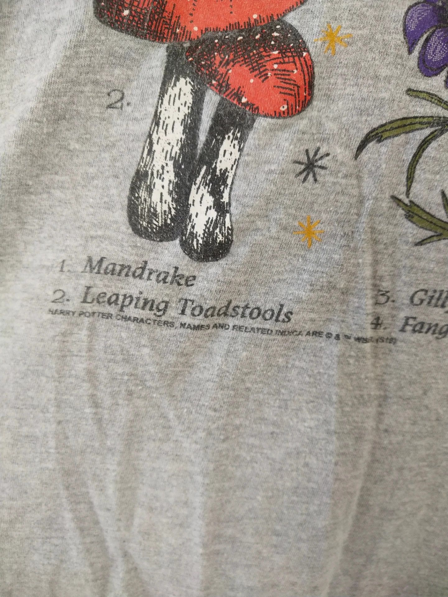 Vintage Harry Potter Herbology Art Movie Tee Size US XXL / EU 58 / 5 - 3 Thumbnail