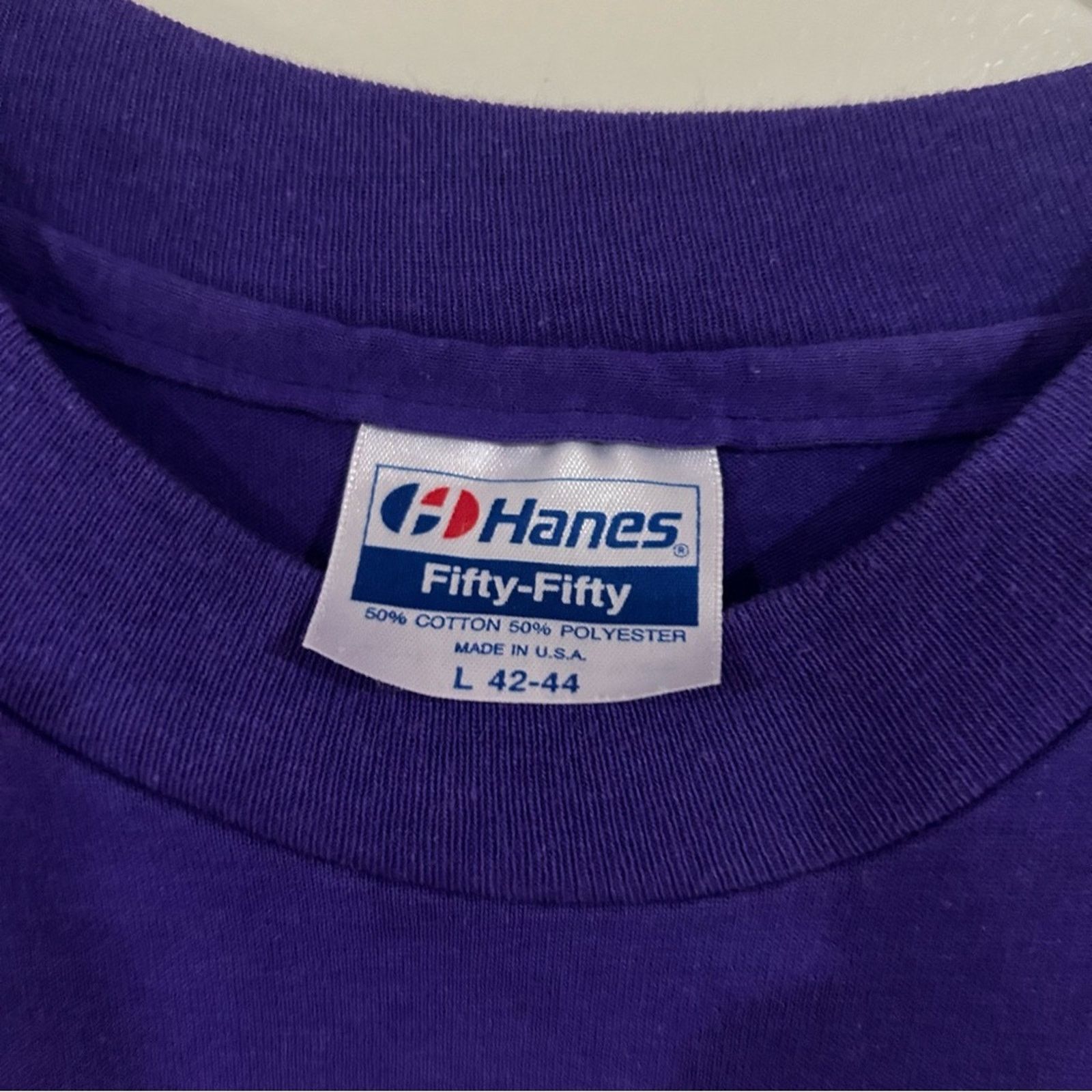 Hanes Vintage 1990 Juneteenth Celebration Shirt Size US L / EU 52-54 / 3 - 3 Thumbnail