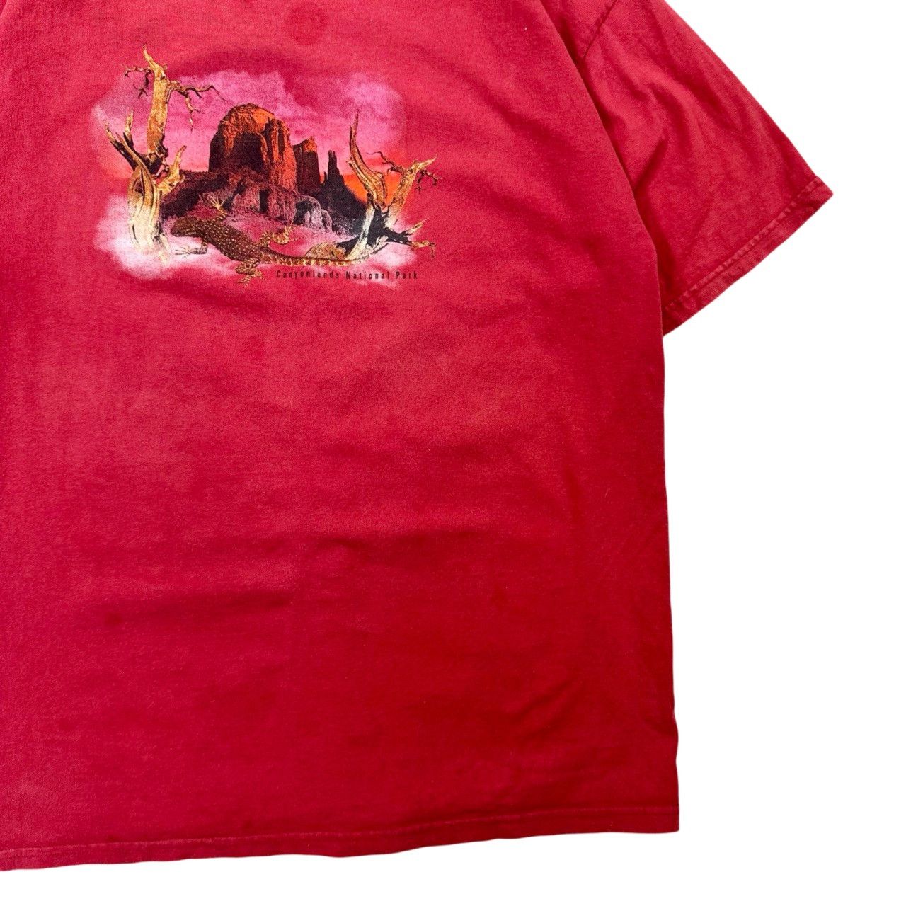 Vintage Vintage Canyonland National Park Big Print Nature Graphic Size US XL / EU 56 / 4 - 3 Thumbnail