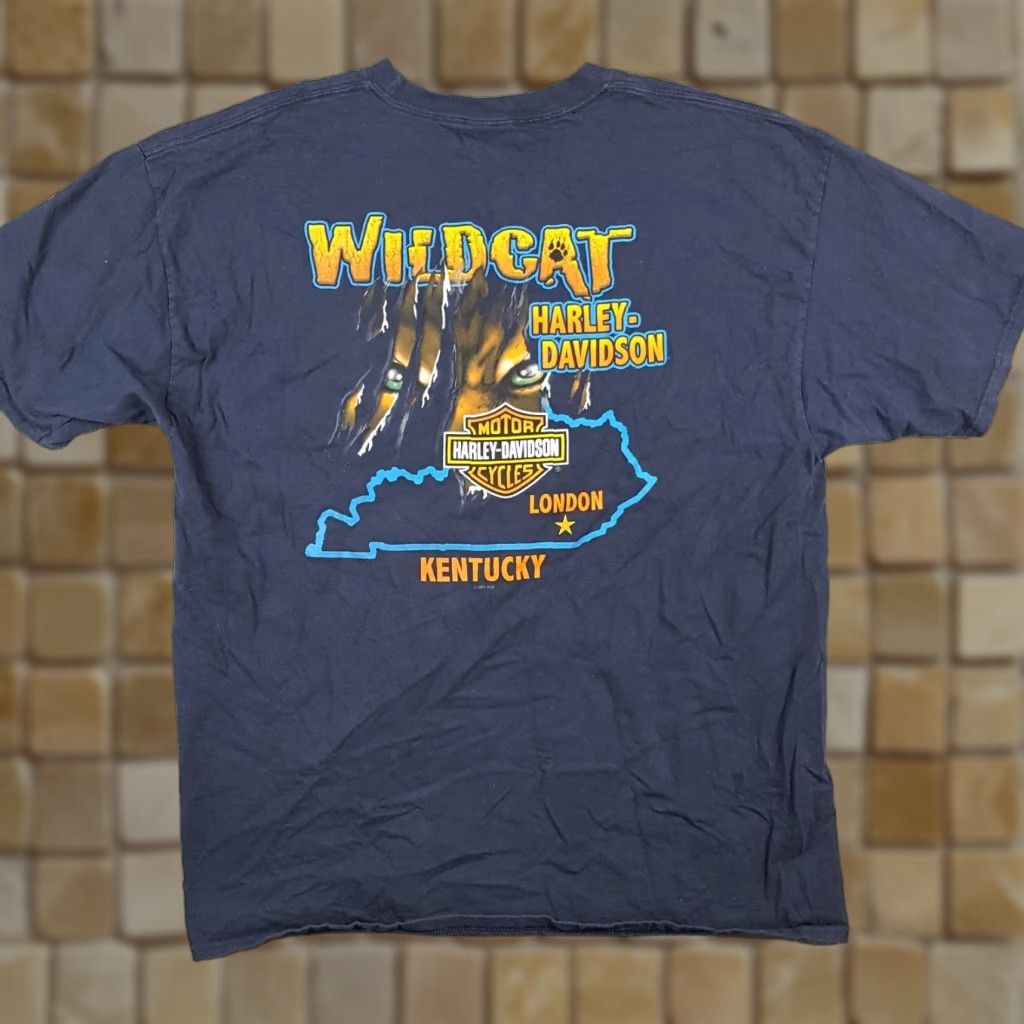 Harley Davidson VINTAGE Harley-Davidson Biker Lion T-Shirt XL Blue 00s Motorcycle Mens Size US XL / EU 56 / 4 - 1 Thumbnail