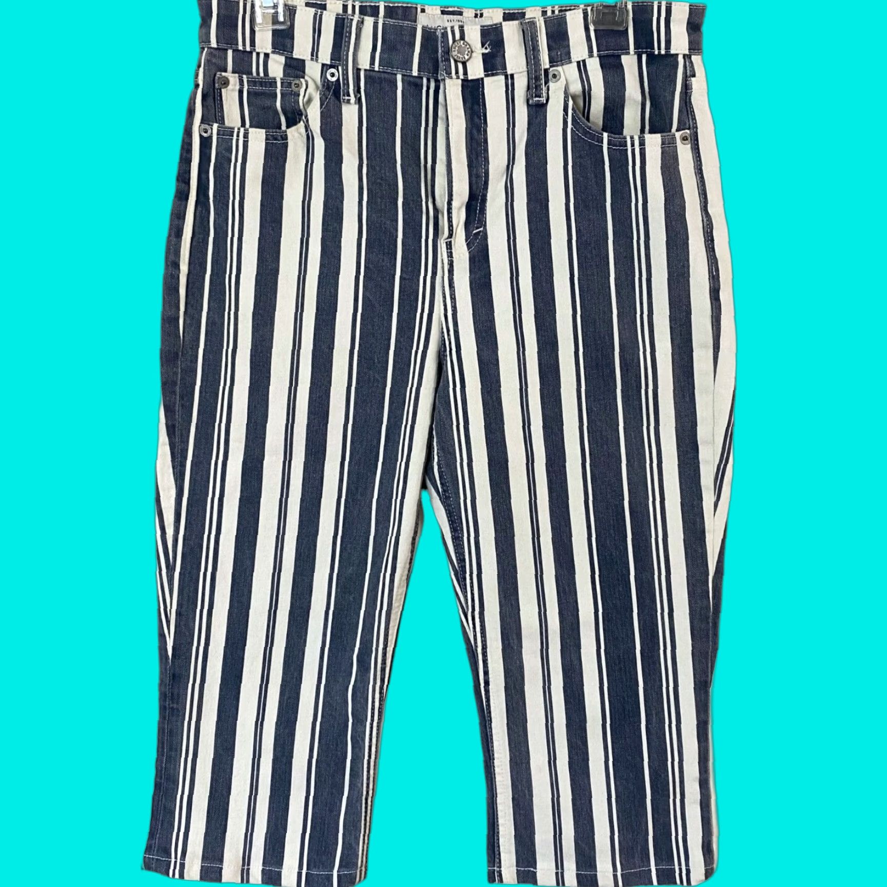 Lucky Brand Lucky Brand Bridgette High-Rise Crop Jeans Womens 29 Perry Stripe-Blue Denim 5-Pocket Cropped Capri Mini Boot Modern Slim Fit Size 29" - 1 Thumbnail