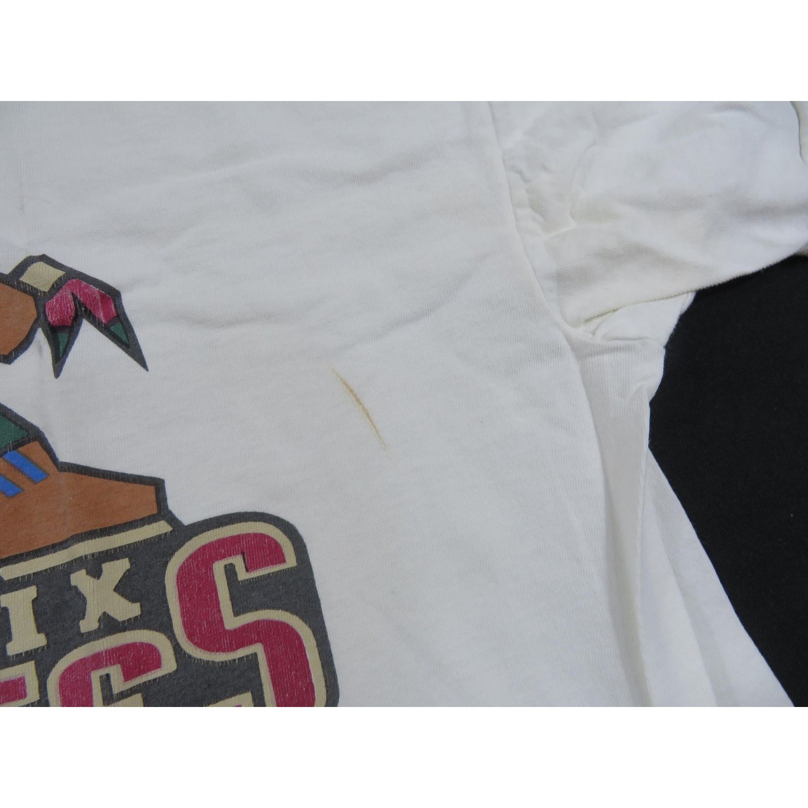 Delta Phoenix Coyote Kachina T-shirt, Double Sided, White XL 1990s Size US XL / EU 56 / 4 - 7 Thumbnail