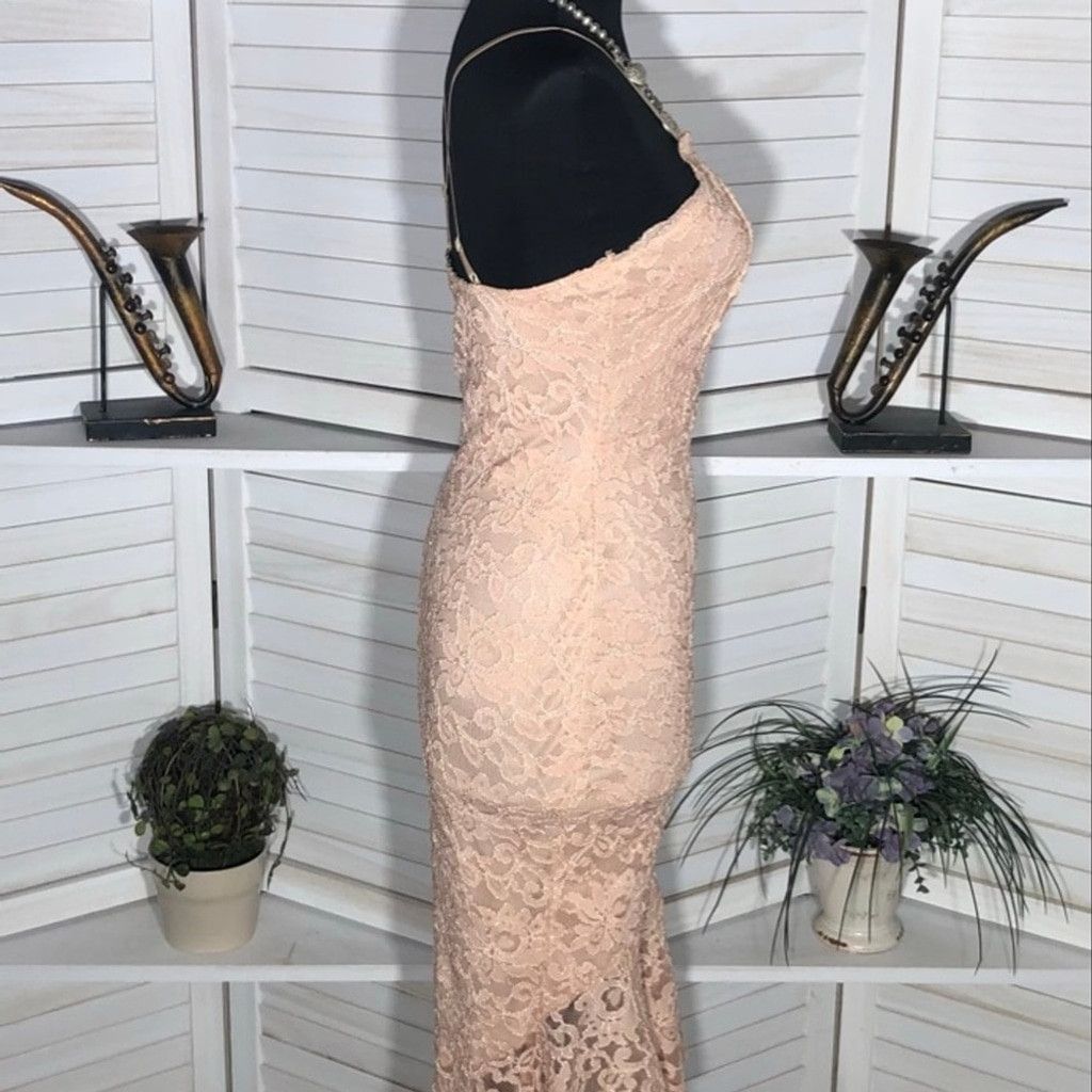 Windsor Smith NWOT Windsor Chantilly Bodycon Dress Lace Mermaid Hem Pink L Size L / US 10 / IT 46 - 3 Thumbnail