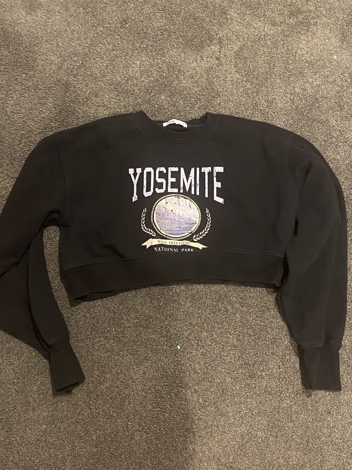 Vintage Yosemite cropped hoodie Size M / US 6-8 / IT 42-44 - 1 Thumbnail