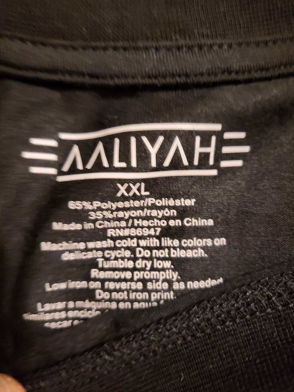 Band Tees Aaliyah Heavyweight T-Shirt Size US XXL / EU 58 / 5 - 2 Thumbnail