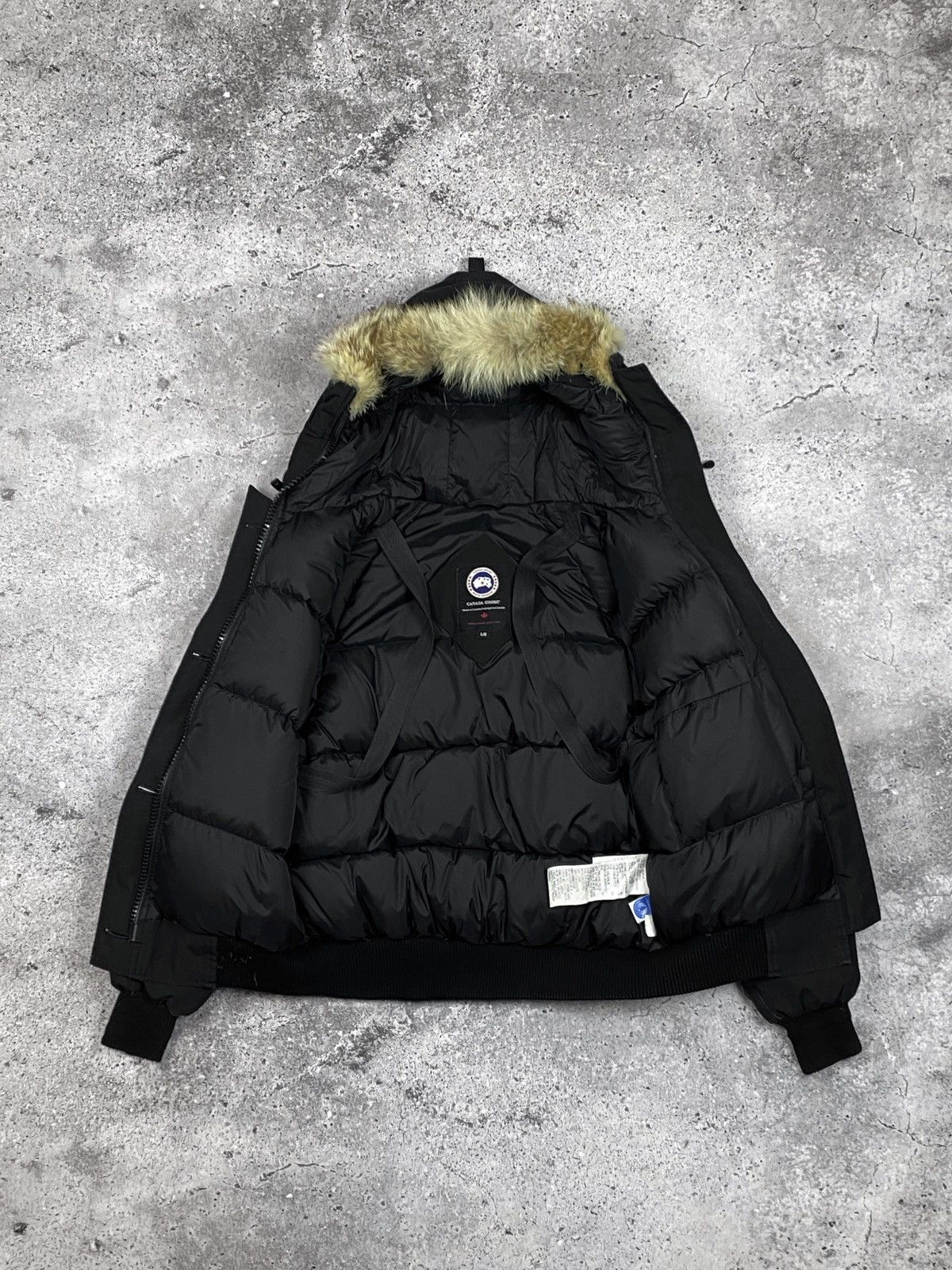 Canada Goose Canada Goose Chilliwack Bomber Size L / US 10 / IT 46 - 3 Thumbnail