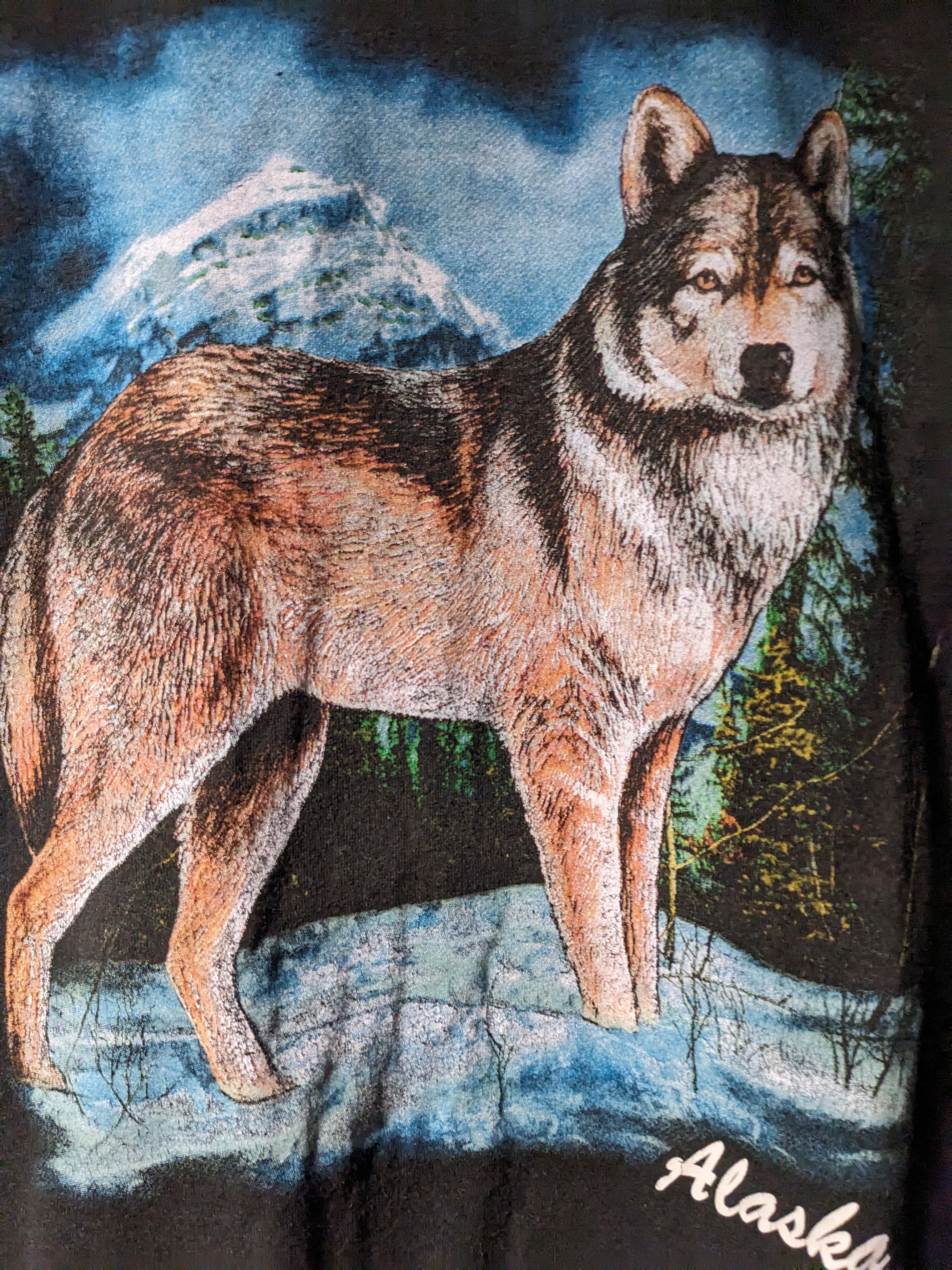 Vintage Vintage Y2K Wolf Animal Nature Wildlife Alaska Snow T-Shirt Size US L / EU 52-54 / 3 - 2 Thumbnail