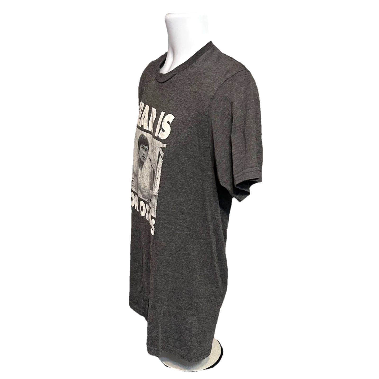 Lee Bruce Lee Fear Is For Others Shirt Mens Medium Dark Heather Gray Short Sleeve Size US M / EU 48-50 / 2 - 3 Thumbnail