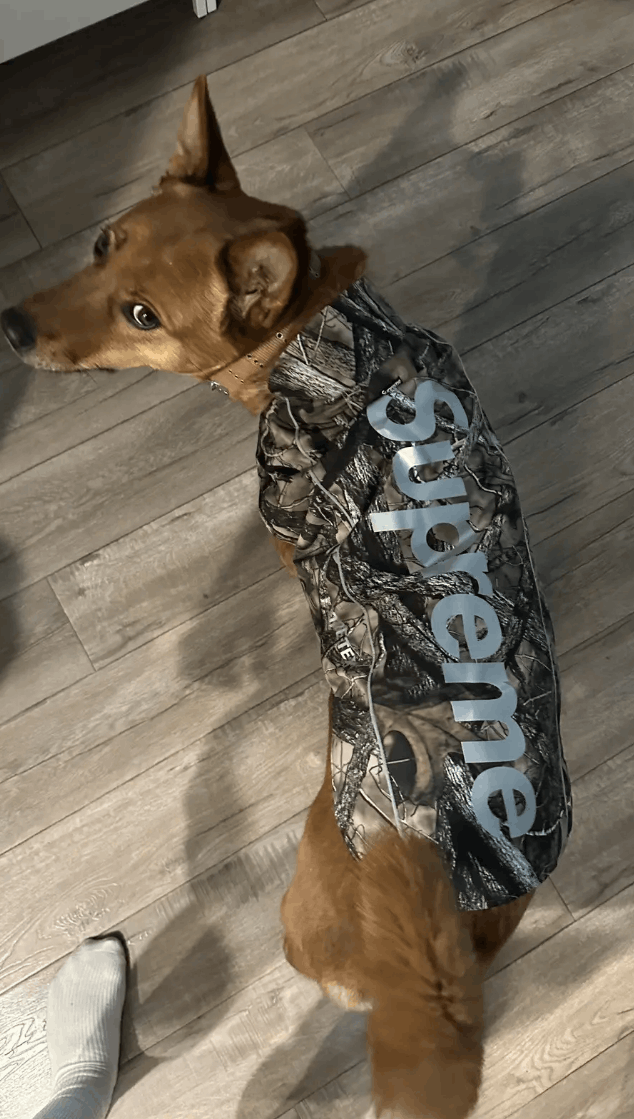 Supreme Supreme GORE-TEX Dog Jacket XS Size ONE SIZE - 2 Thumbnail