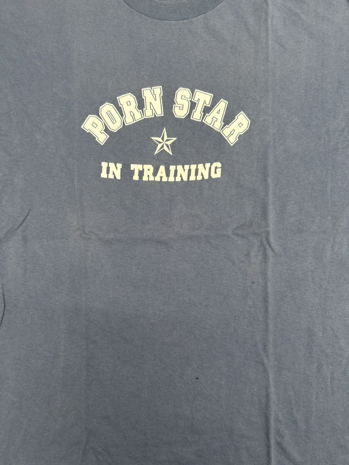 Vintage PORN STAR Brand In Training 2000s Y2K Skate Tee