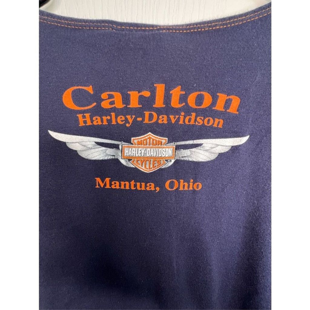 Harley Davidson Harley Davidson Short Sleeve T-Shirt With Leather Strands Size L / US 10 / IT 46 - 5 Thumbnail