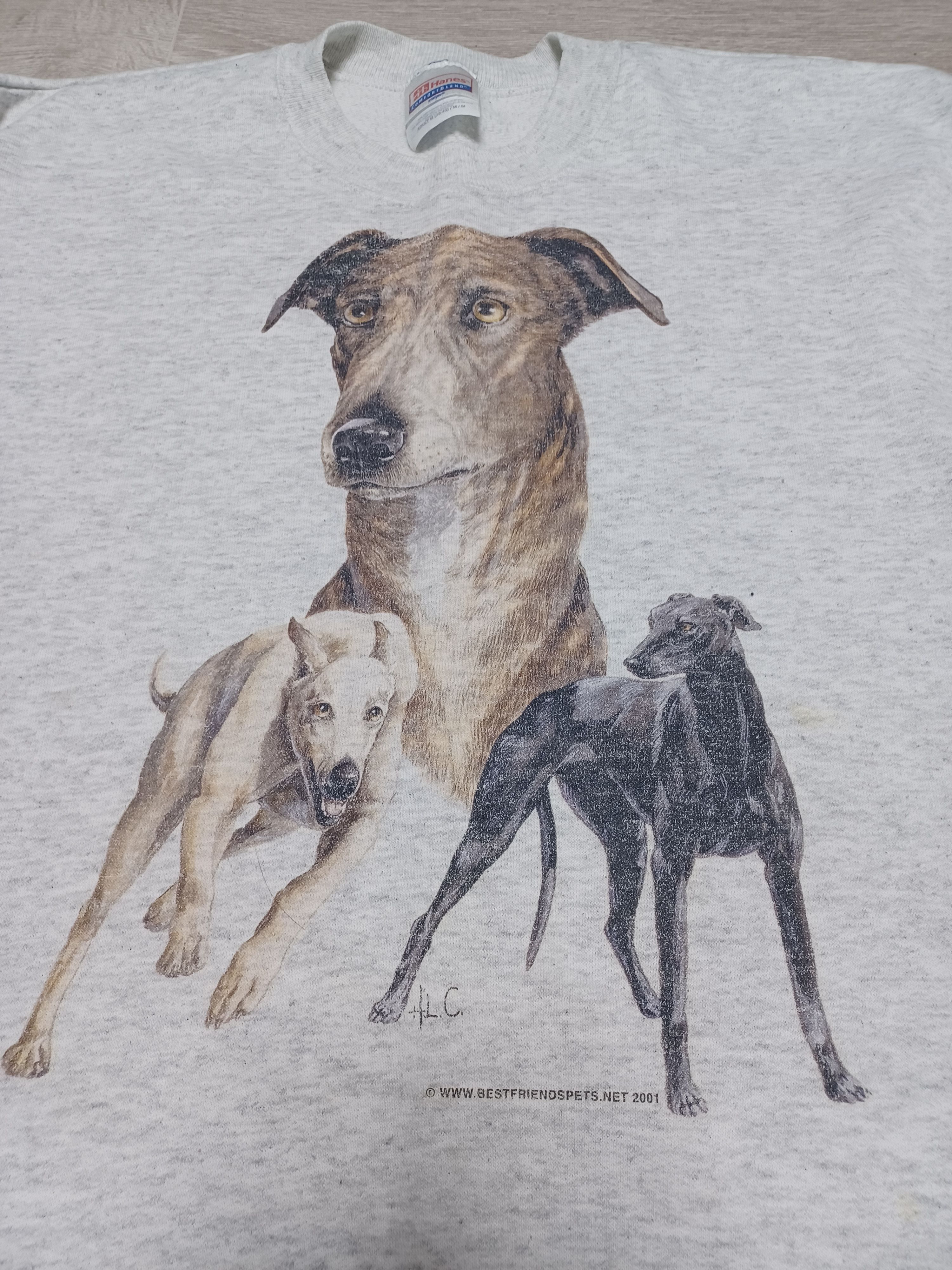 Hanes 2001 VINTAGE HANES CRAZY THREE DOGS SWEATSHIRT ANIMAL MEXICO Size US M / EU 48-50 / 2 - 3 Thumbnail