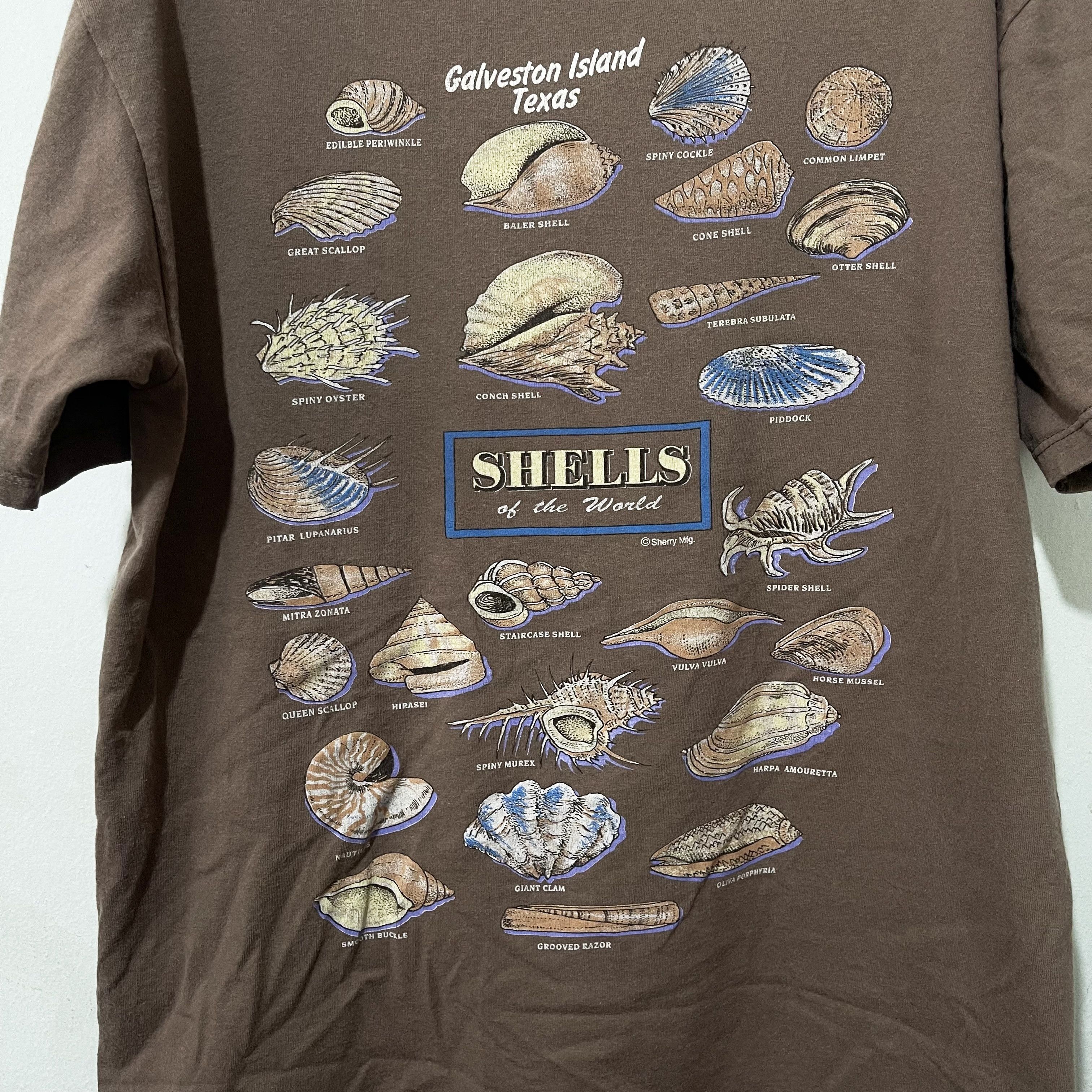Vintage Vintage Galveston Island Texas Shells T-Shirt Size US L / EU 52-54 / 3 - 2 Thumbnail